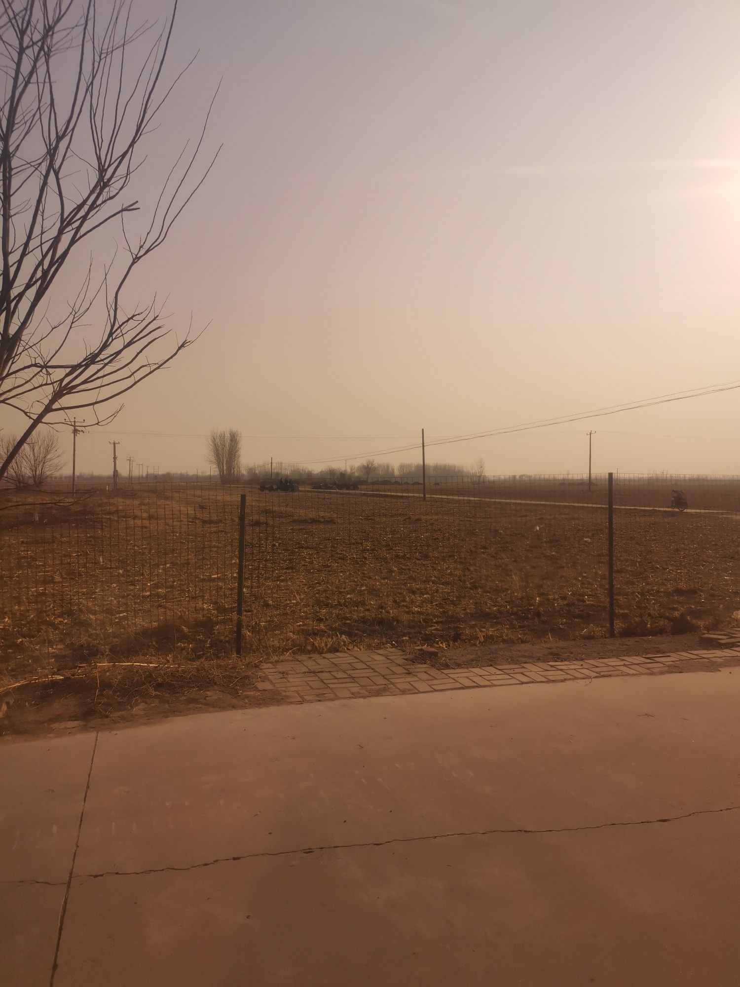 汉城安陵旅游风景区旅行图片 1