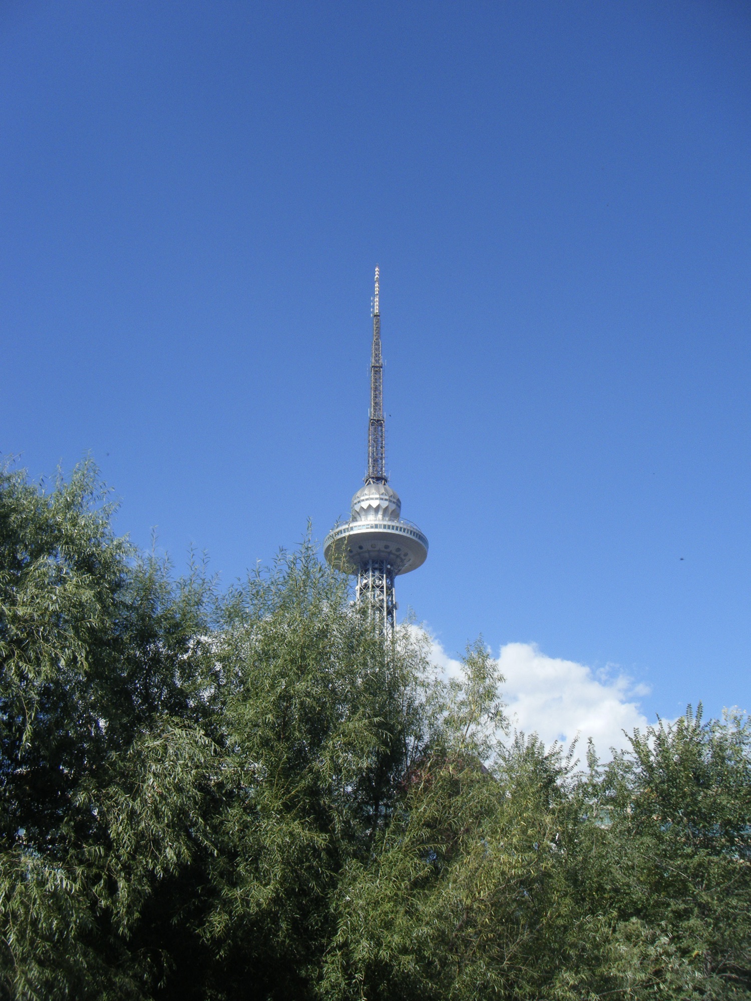 湘江公园旅行图片 2