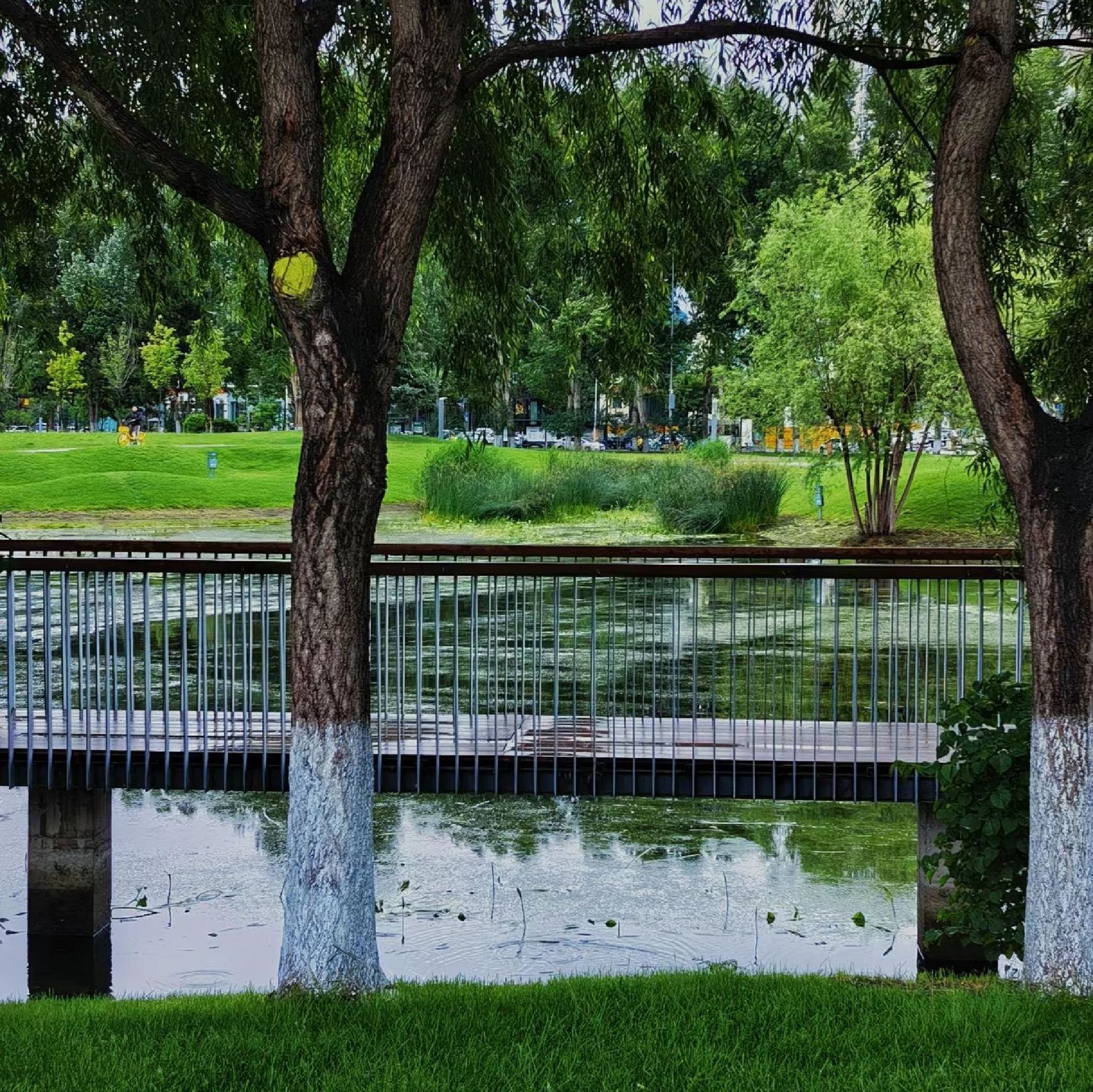 湘江公园旅行图片 1