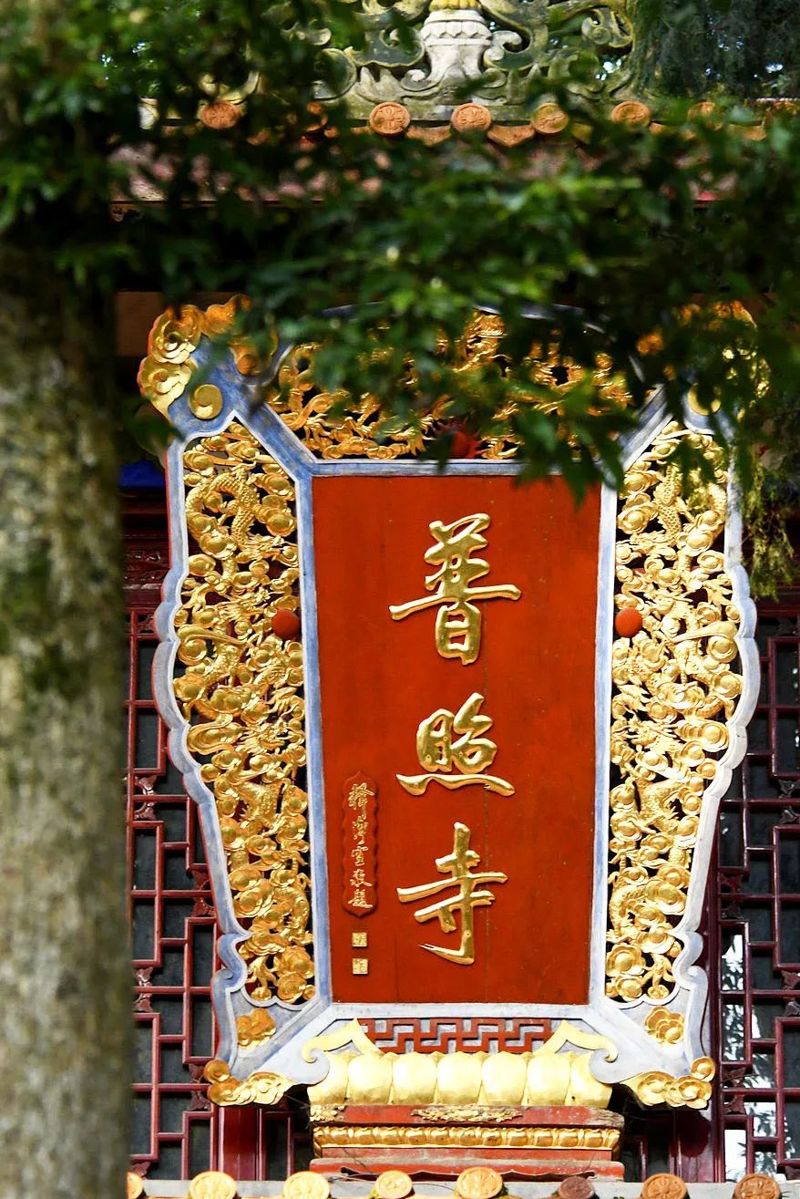 莆田普照寺实景照片