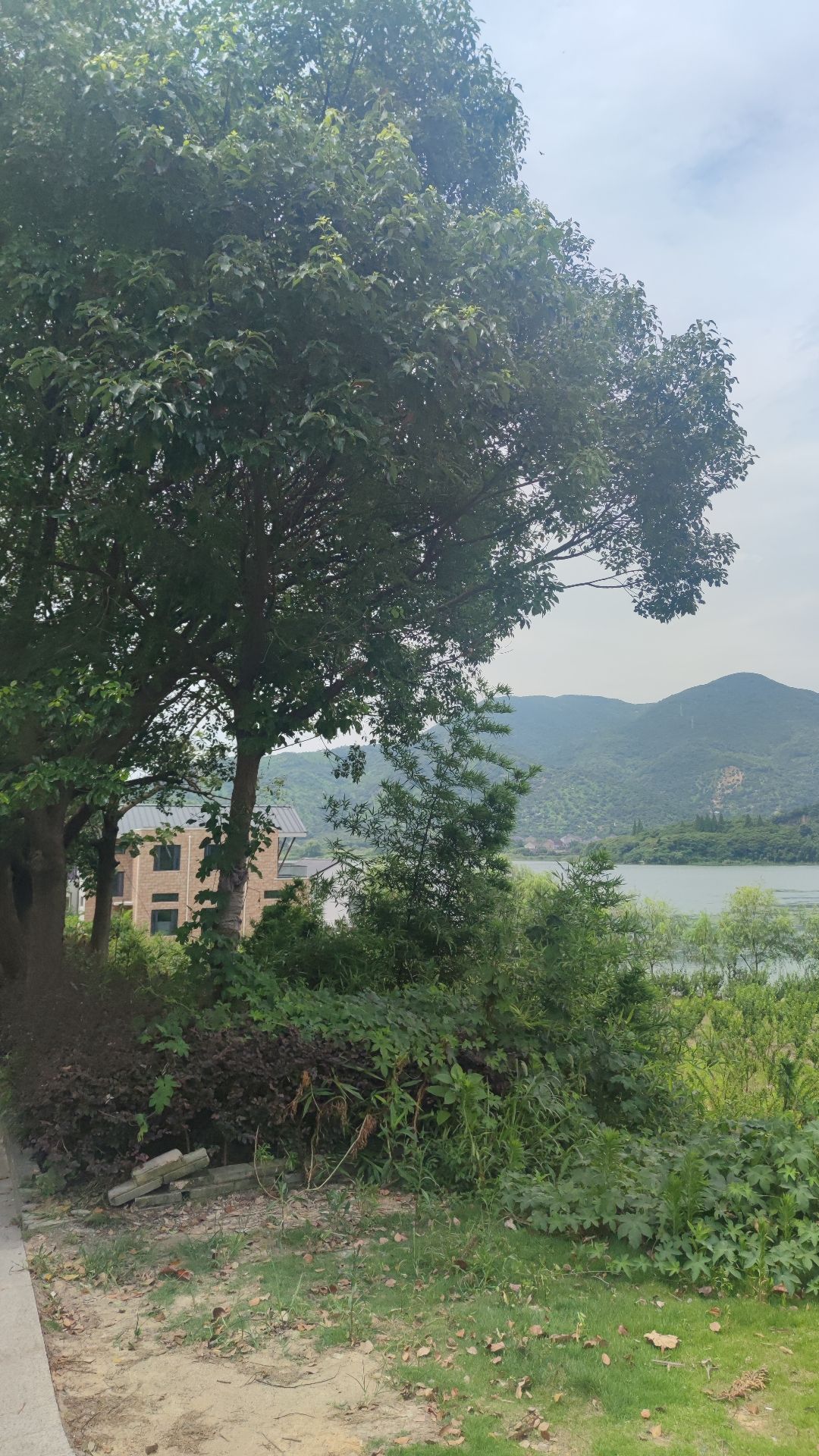 上林湖中旅行图片 2