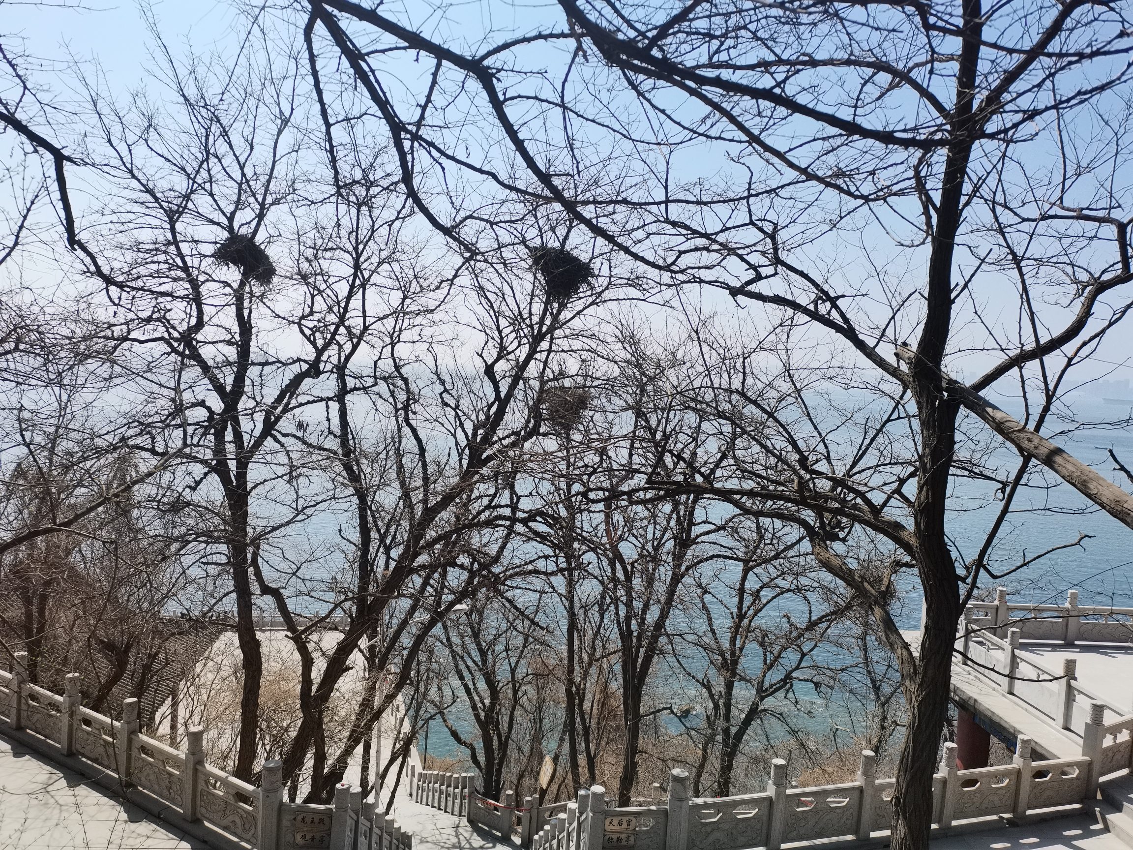 碧海观旅行图片 2