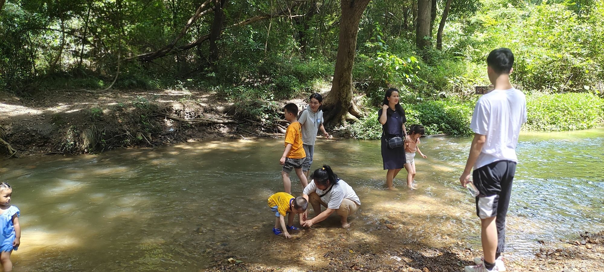 原始森林旅游景区旅行图片 2