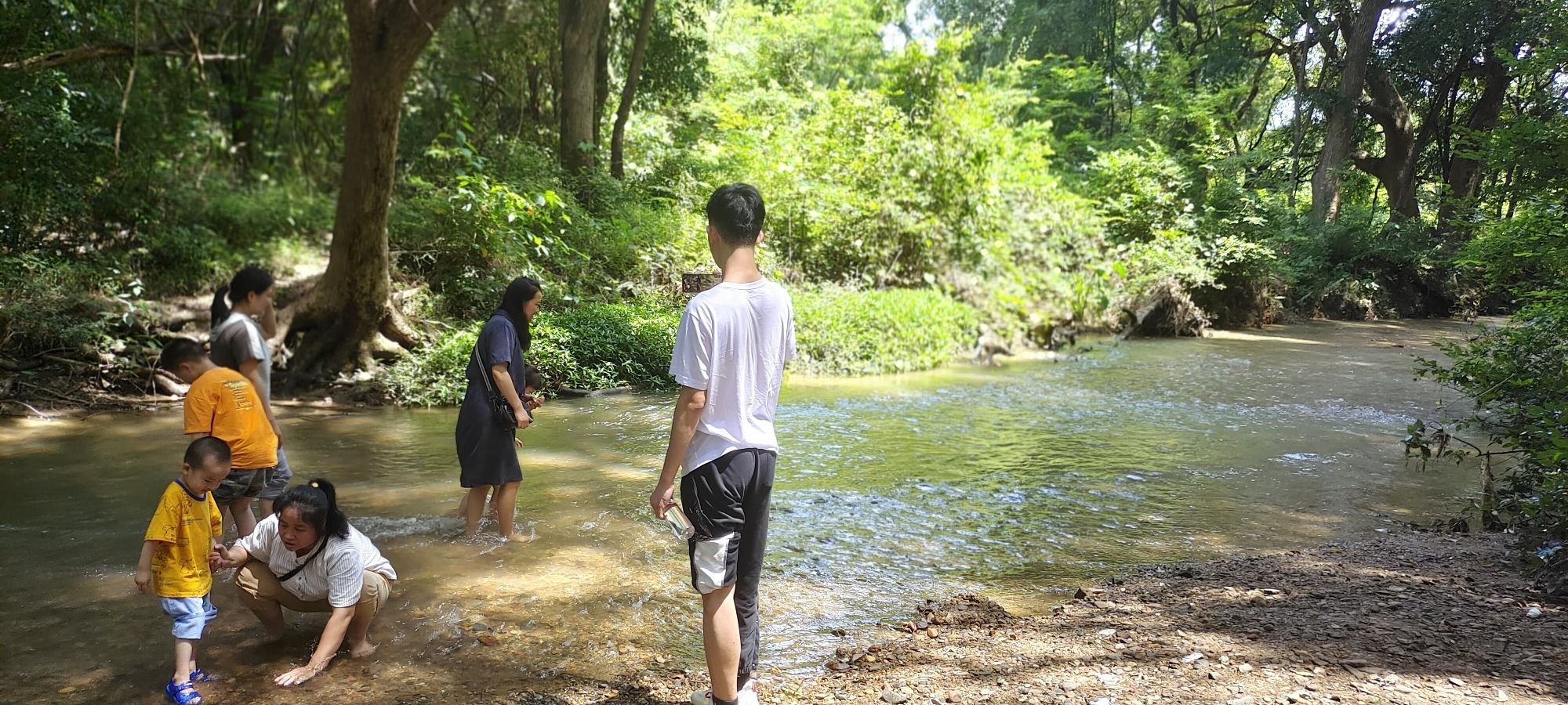 原始森林旅游景区旅行图片 1