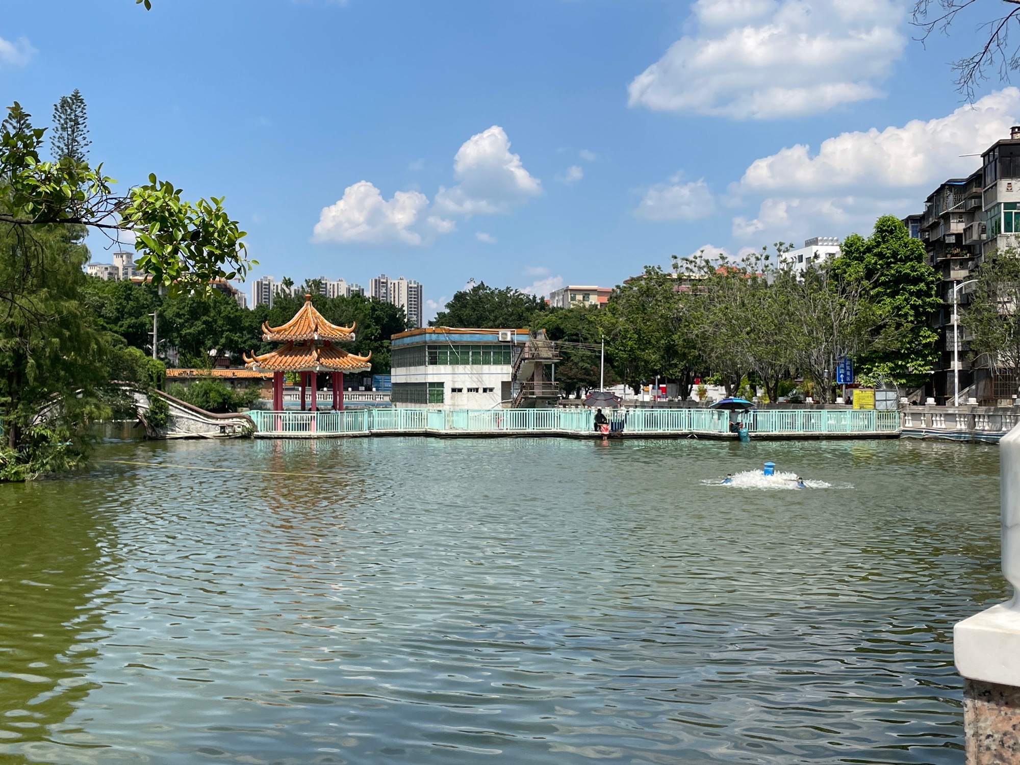 岩口山公园旅行图片 2