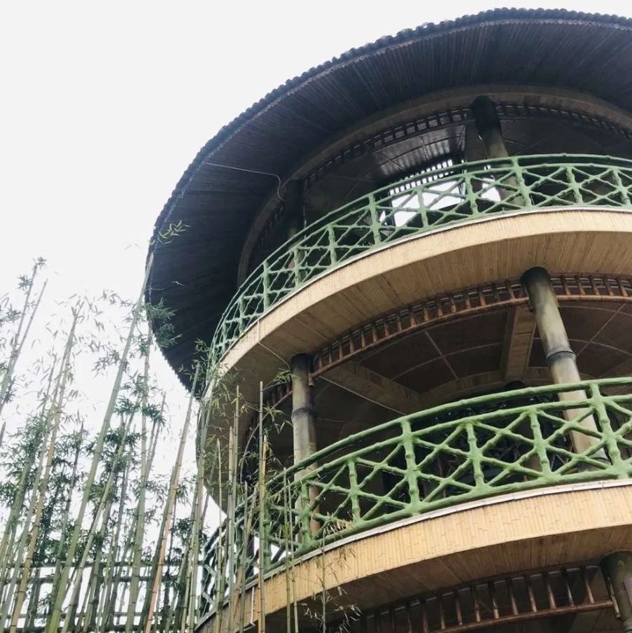百竹园旅行图片 1