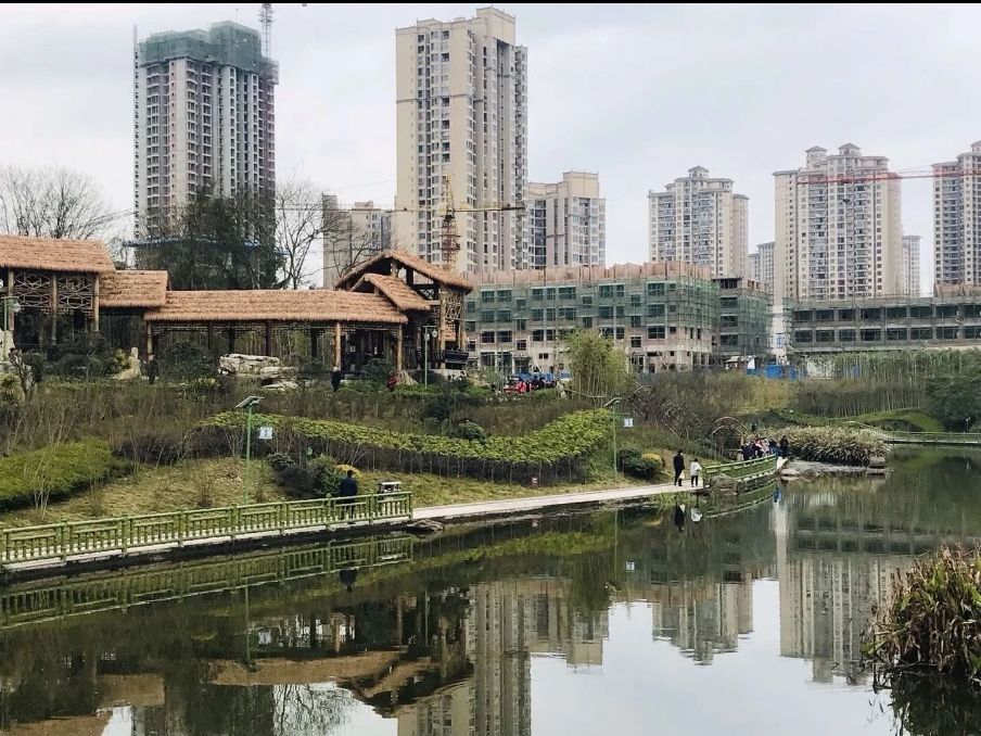百竹园旅行图片 2