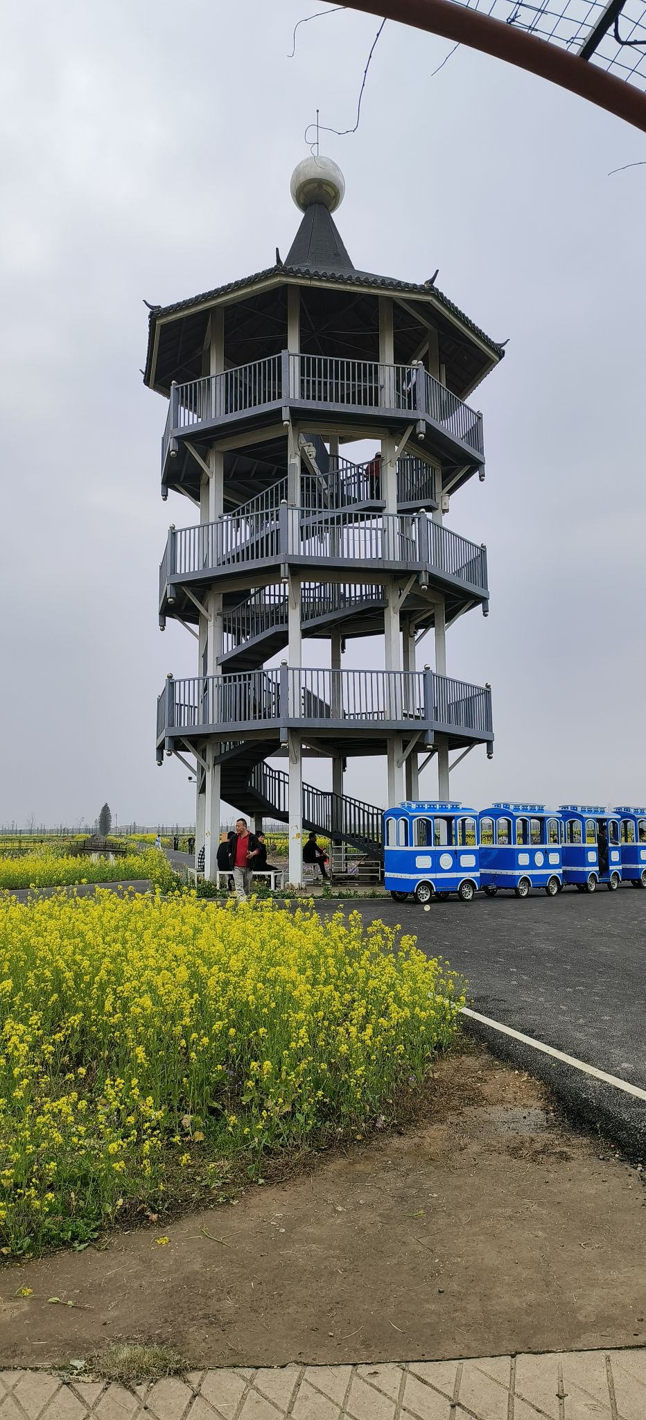 蓝筹颐荷园旅行图片 1