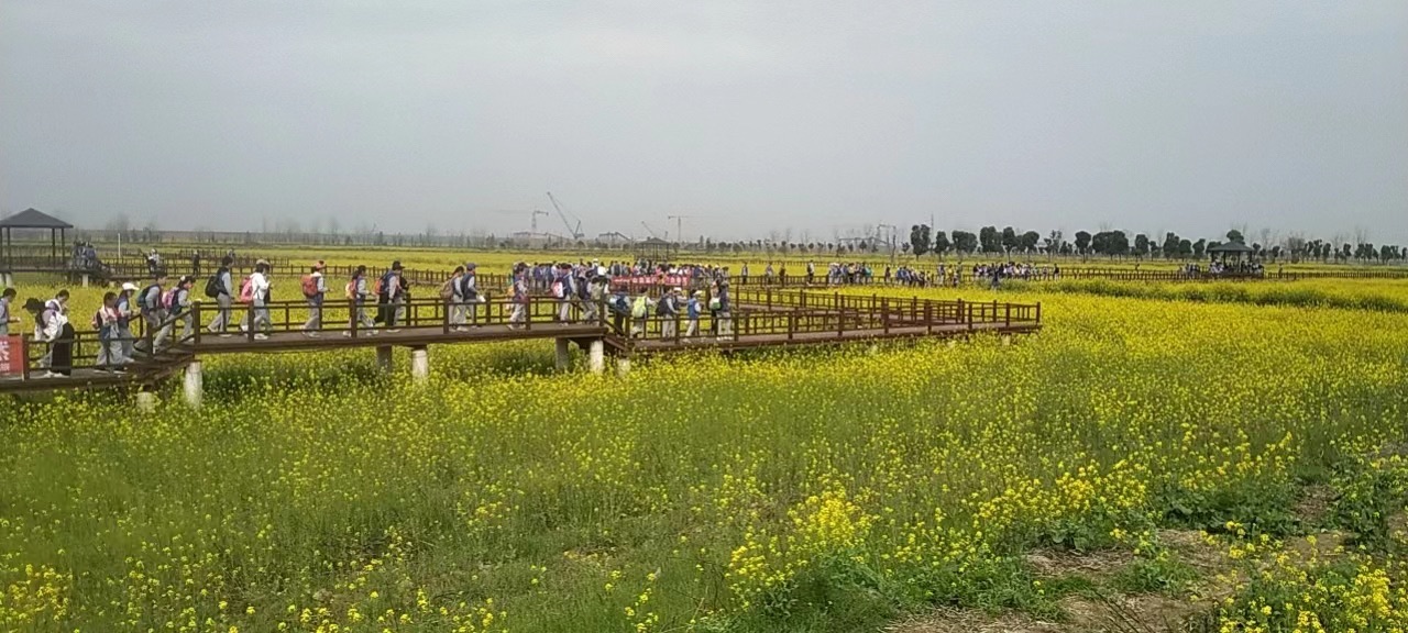 蓝筹颐荷园旅行图片 3