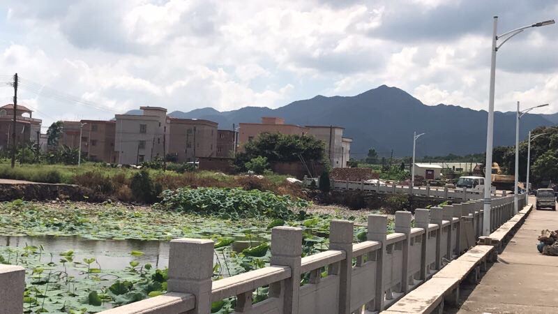 蚬岗镇富金村西村文化广场旅行图片 3