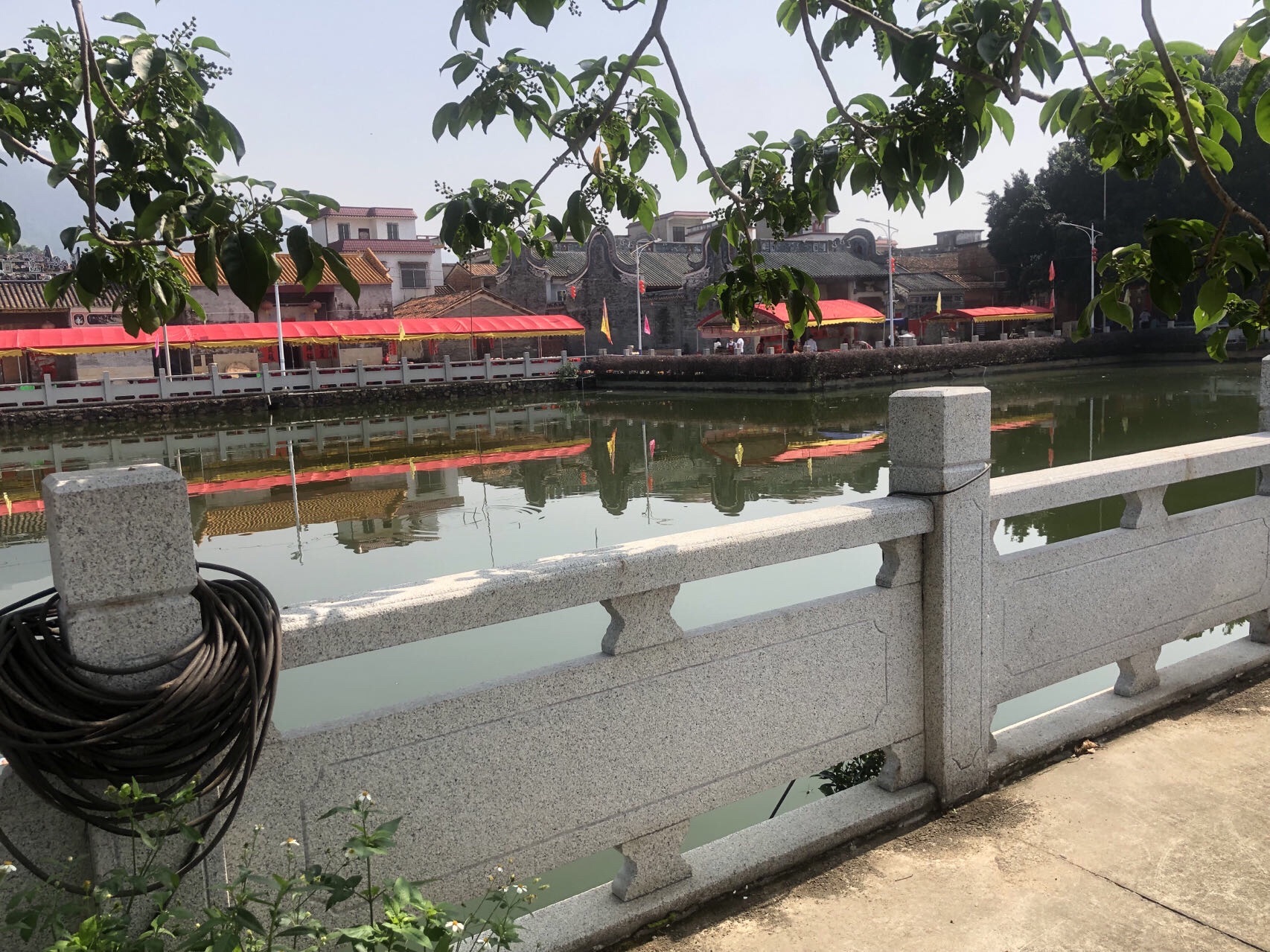 蚬岗镇富金村西村文化广场旅行图片 2