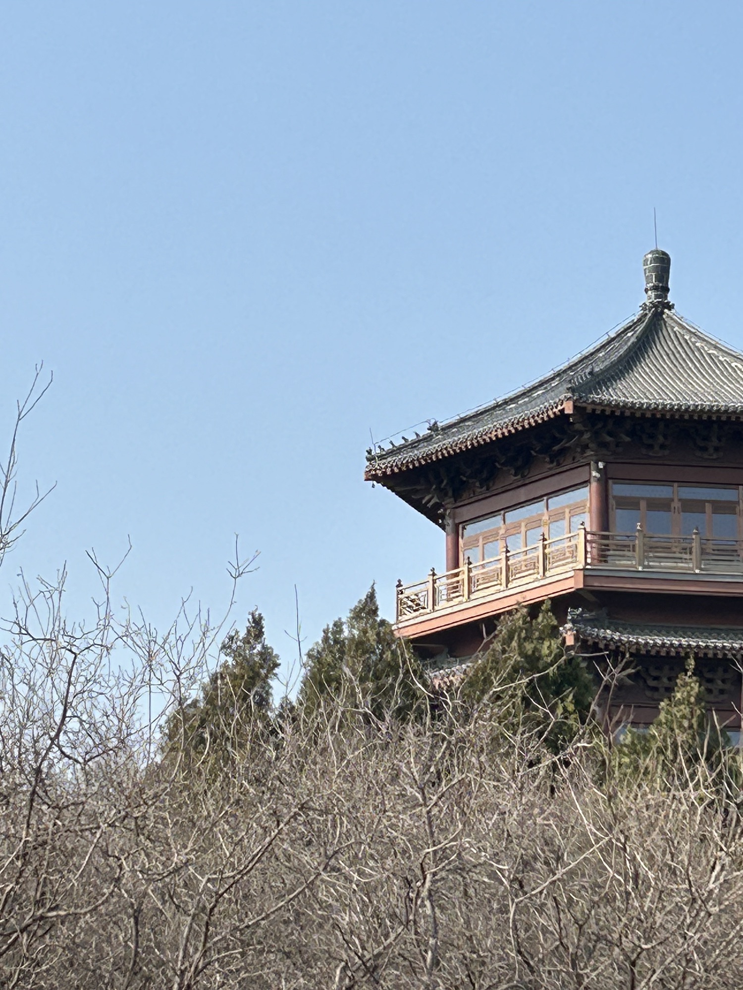 东山湿地公园旅行图片 2
