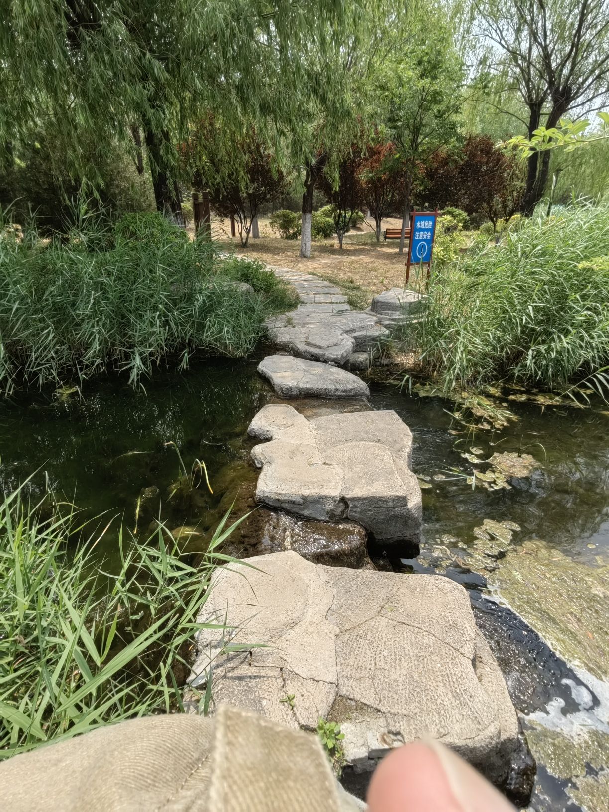 东山湿地公园旅行图片 2