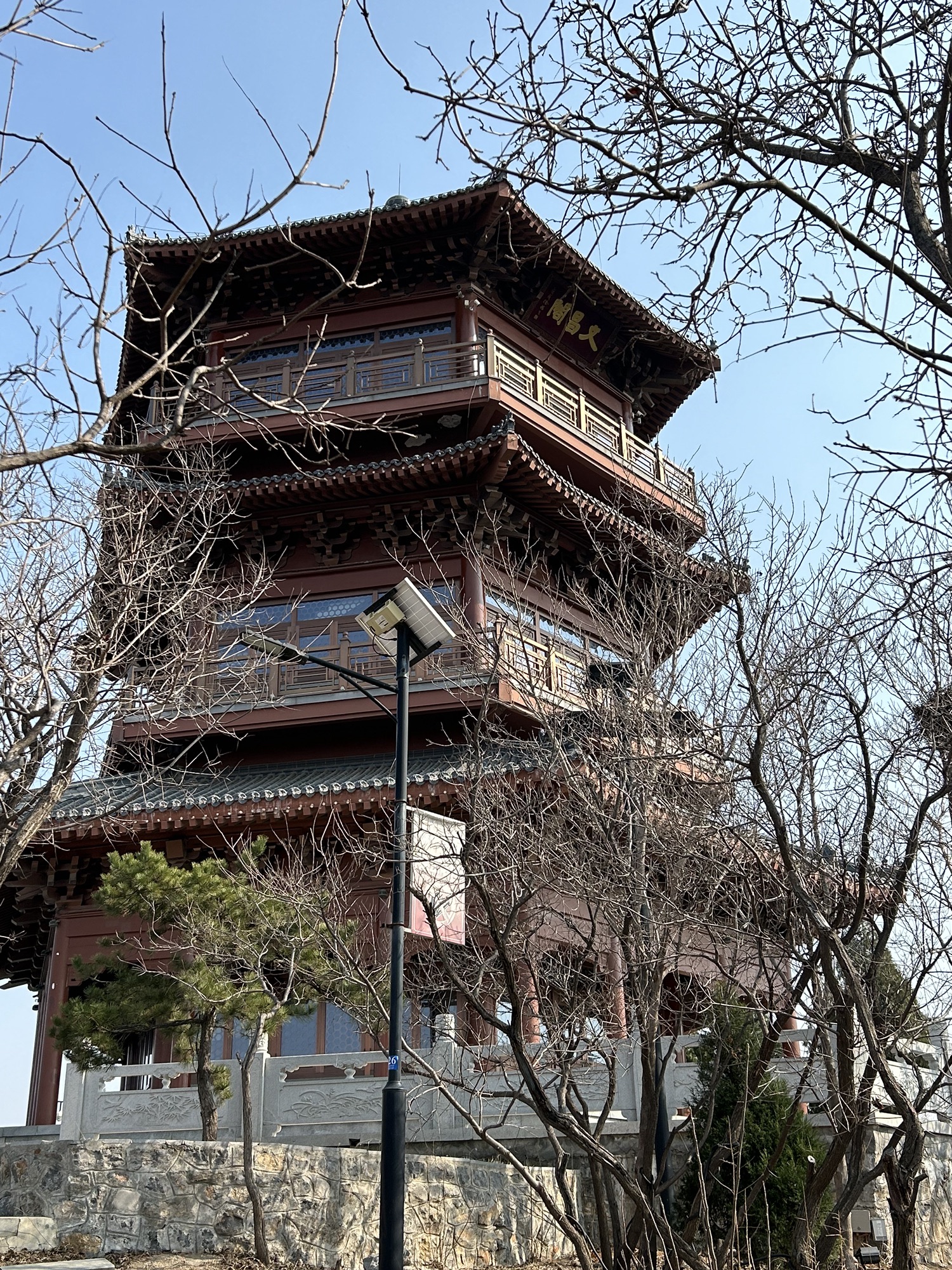 东山湿地公园旅行图片 1