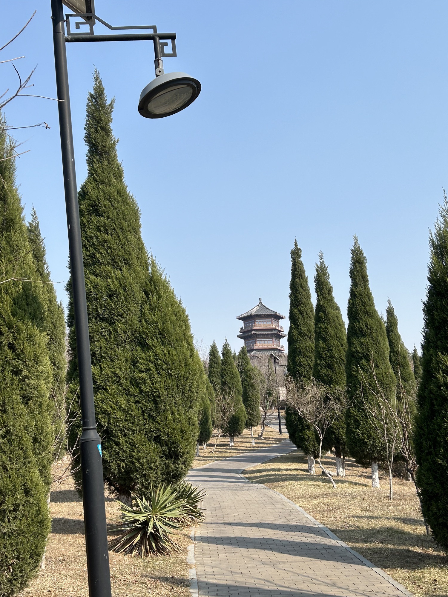 东山湿地公园旅行图片 3