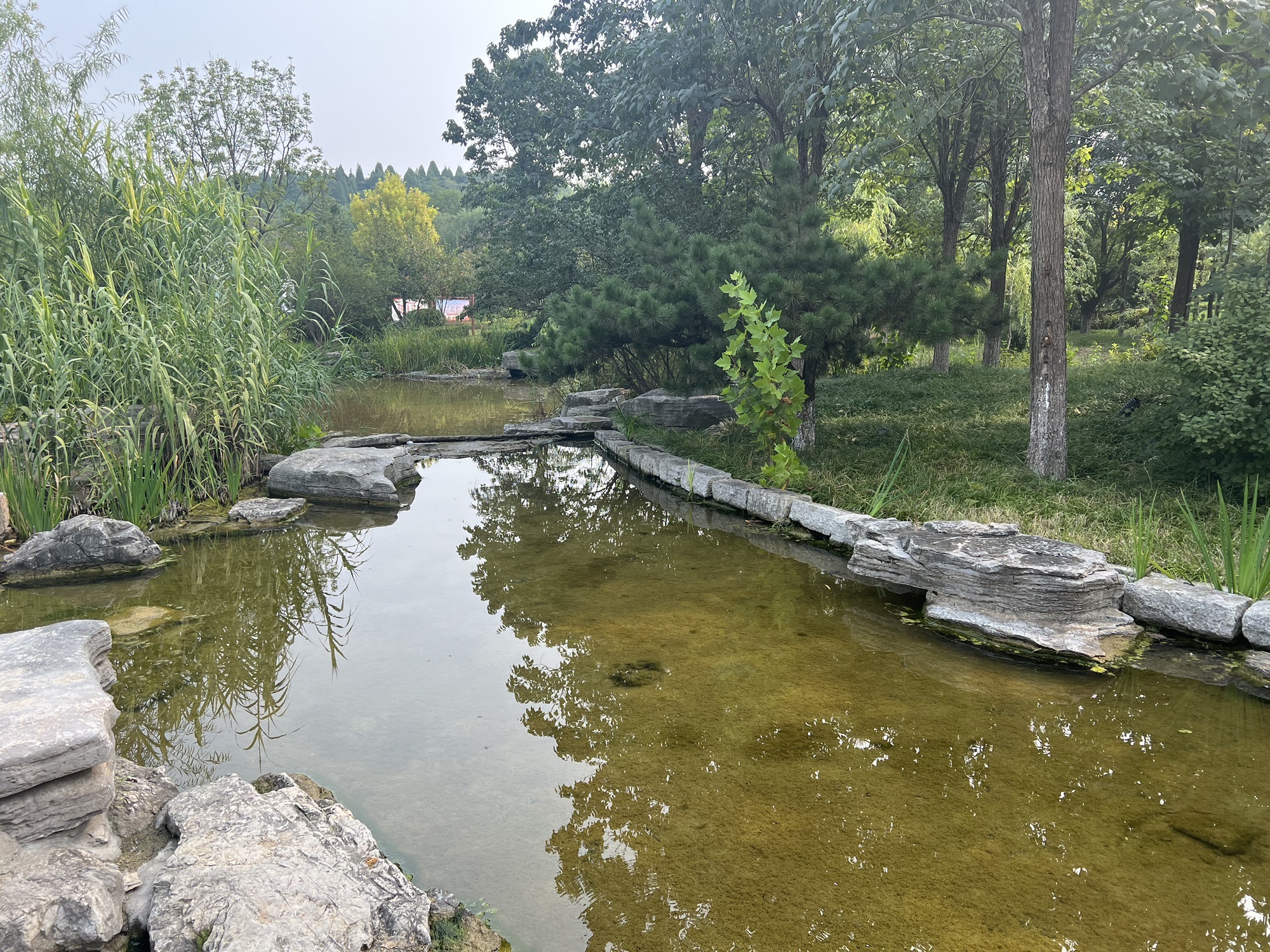 东山湿地公园旅行图片 1