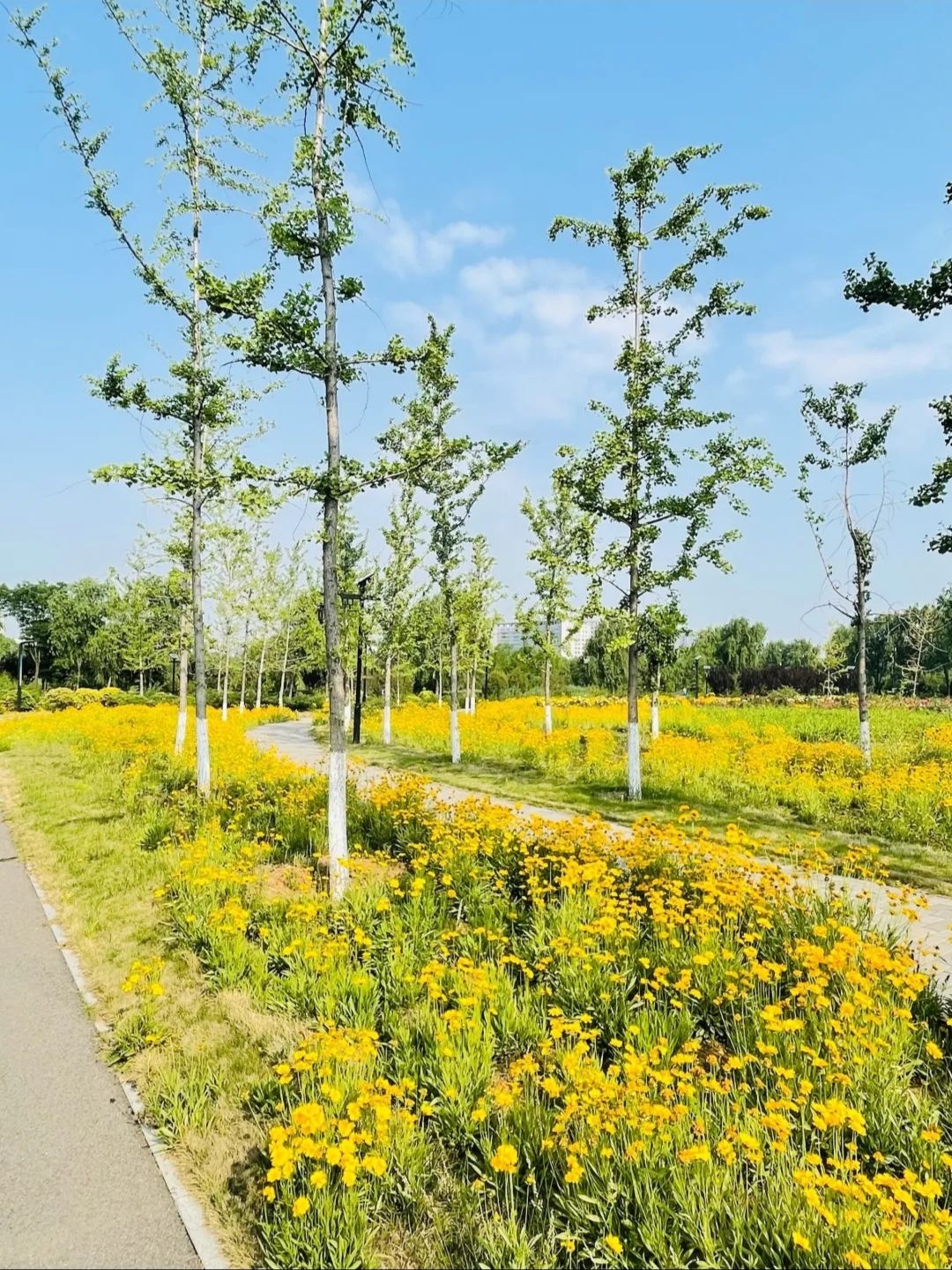 东山湿地公园旅行图片 1