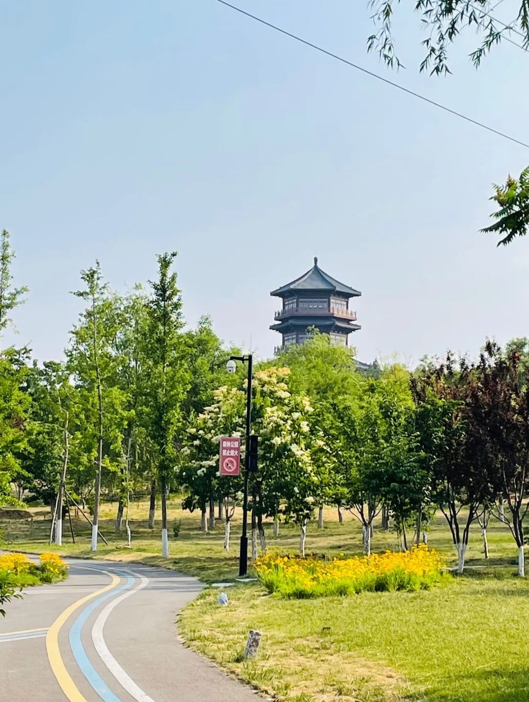 东山湿地公园旅行图片 2