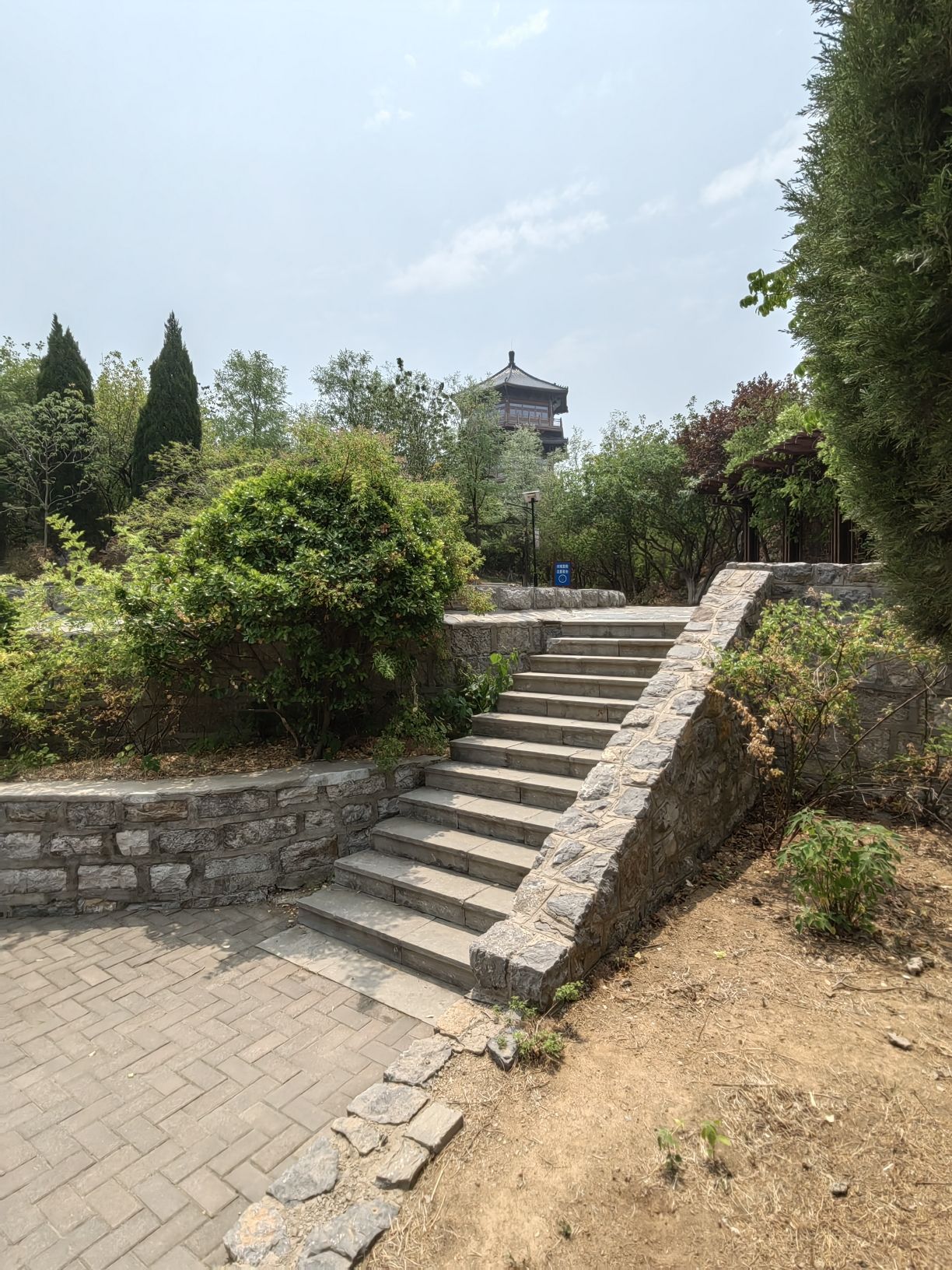 东山湿地公园旅行图片 3