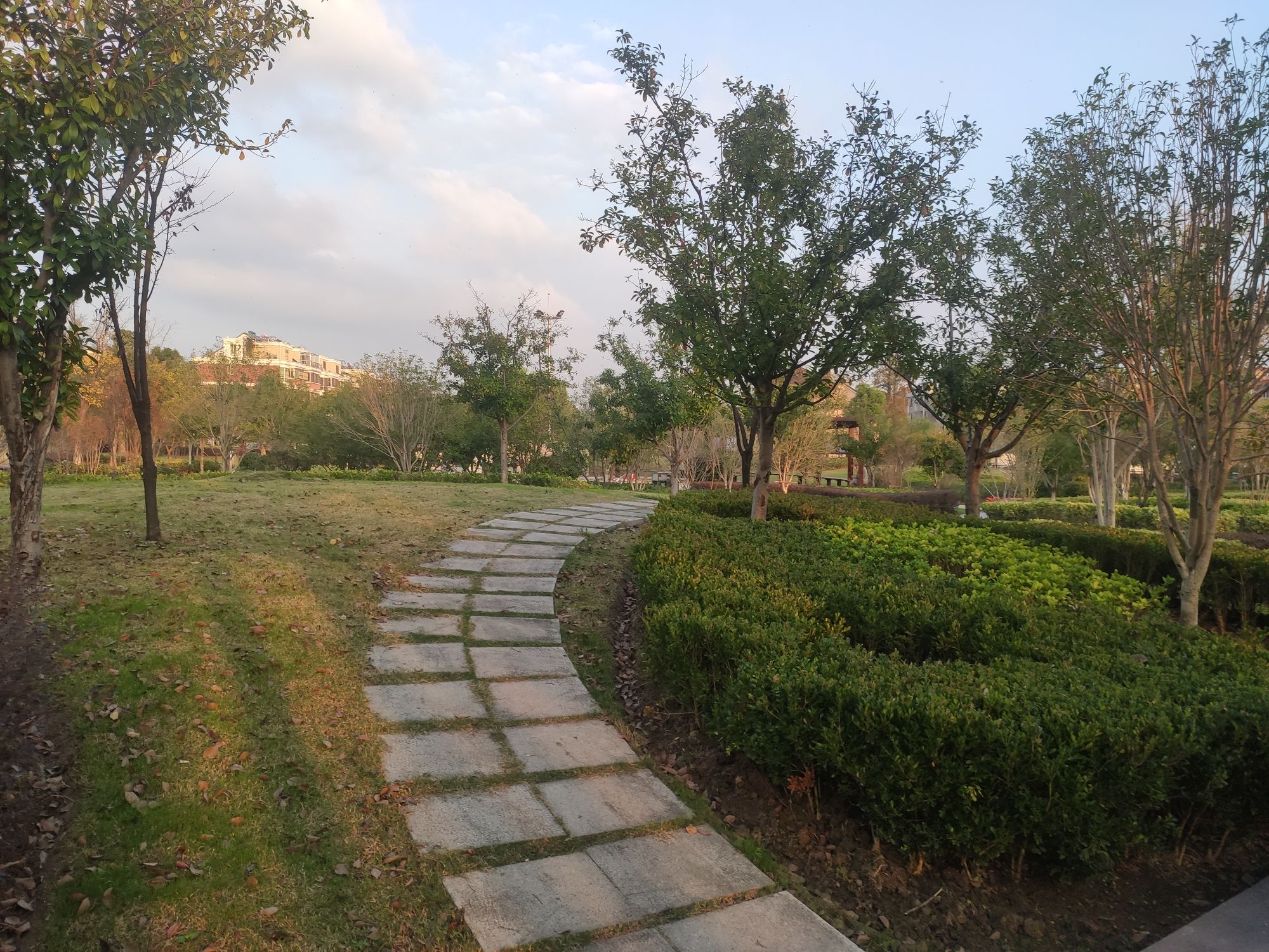 鲁肃公园旅行图片 3