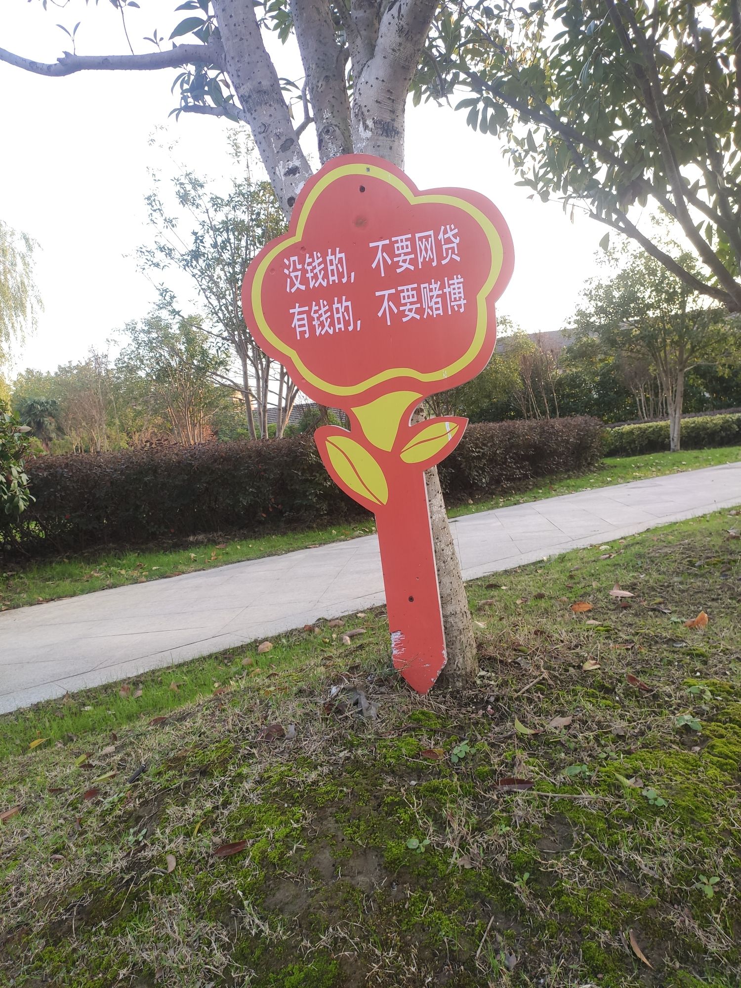 鲁肃公园旅行图片 1