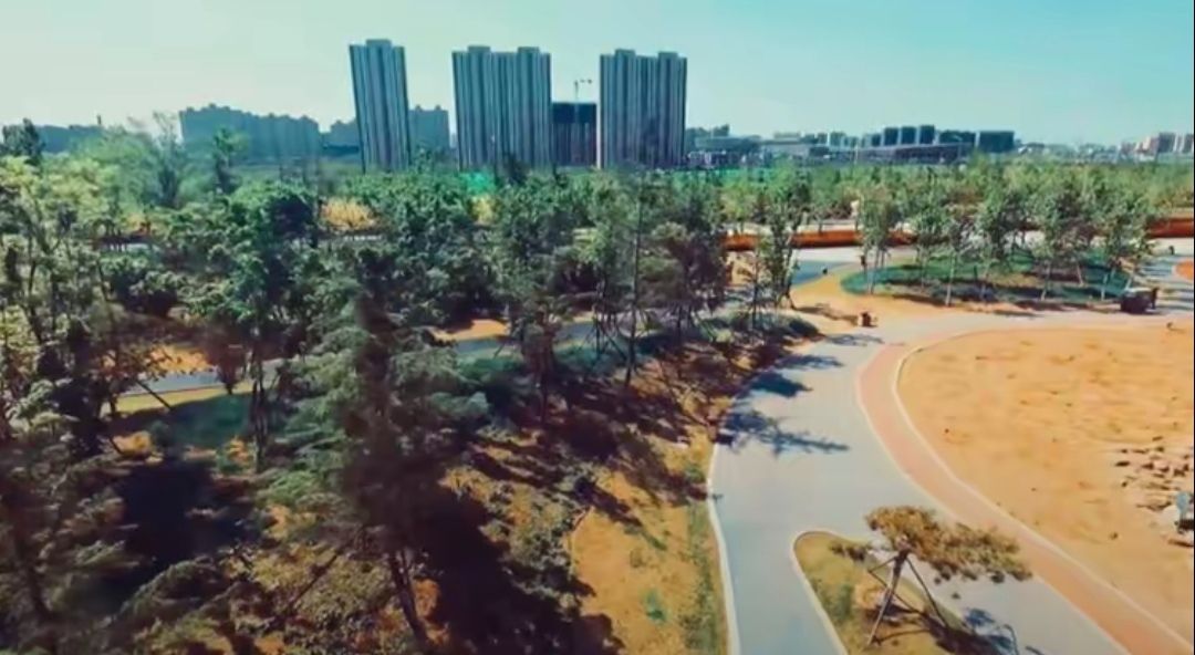 海绵公园旅行图片 3