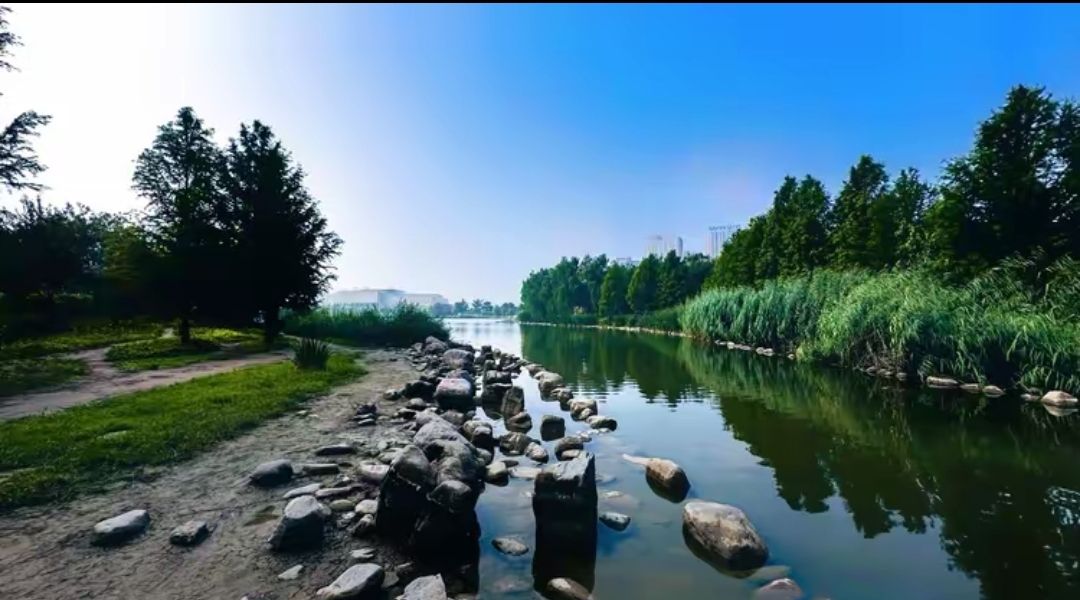 海绵公园旅行图片 2