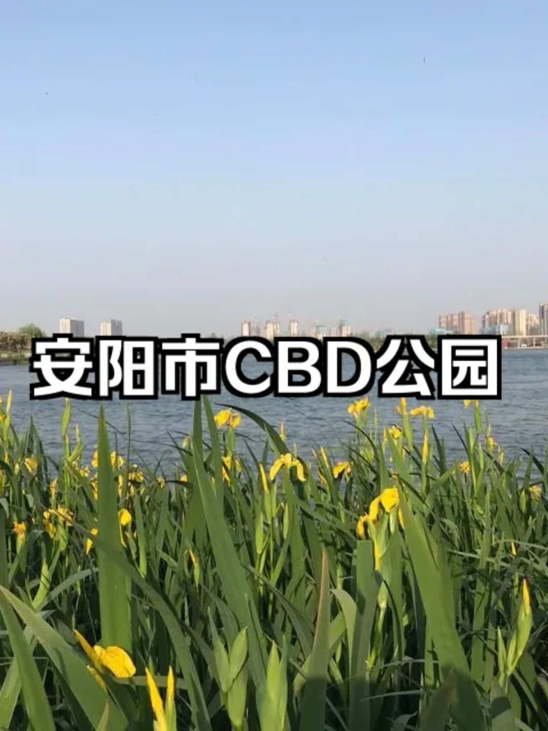 海绵公园旅行图片 1