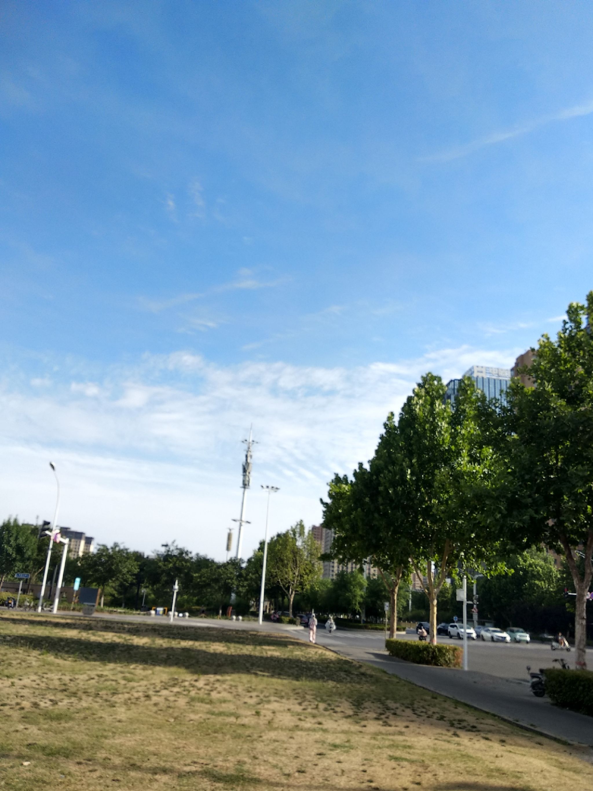 迎宾公园旅行图片 1