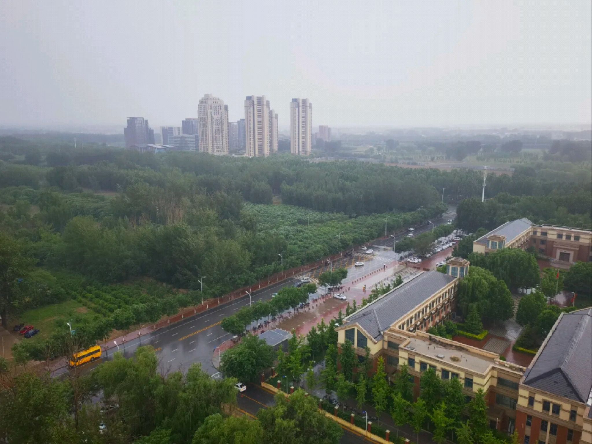 迎宾公园旅行图片 3