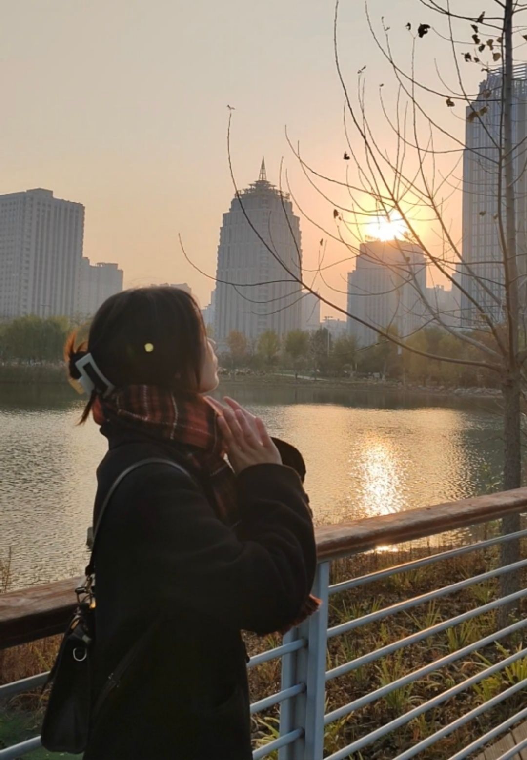 迎宾公园旅行图片 2