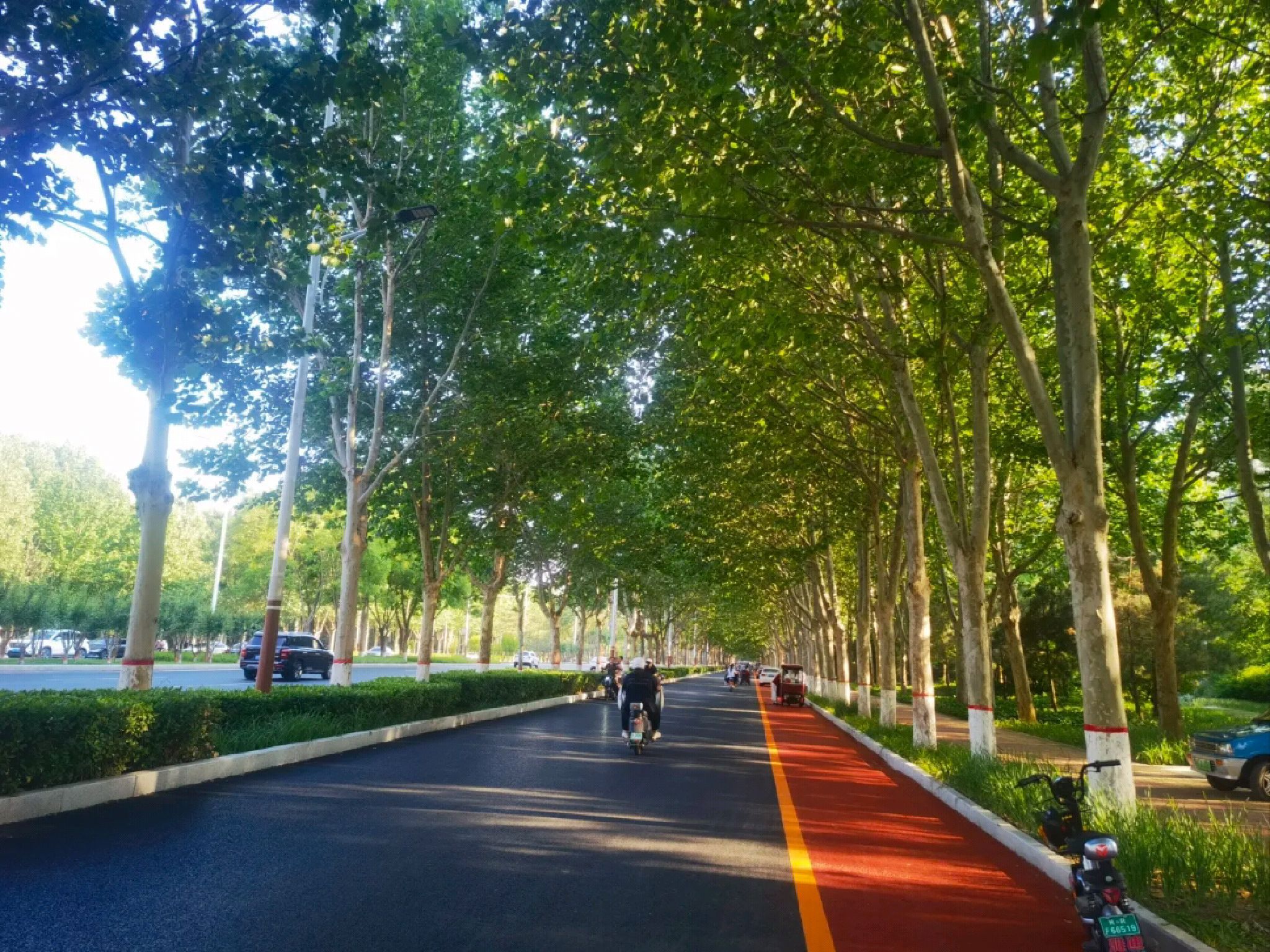 迎宾公园旅行图片 1