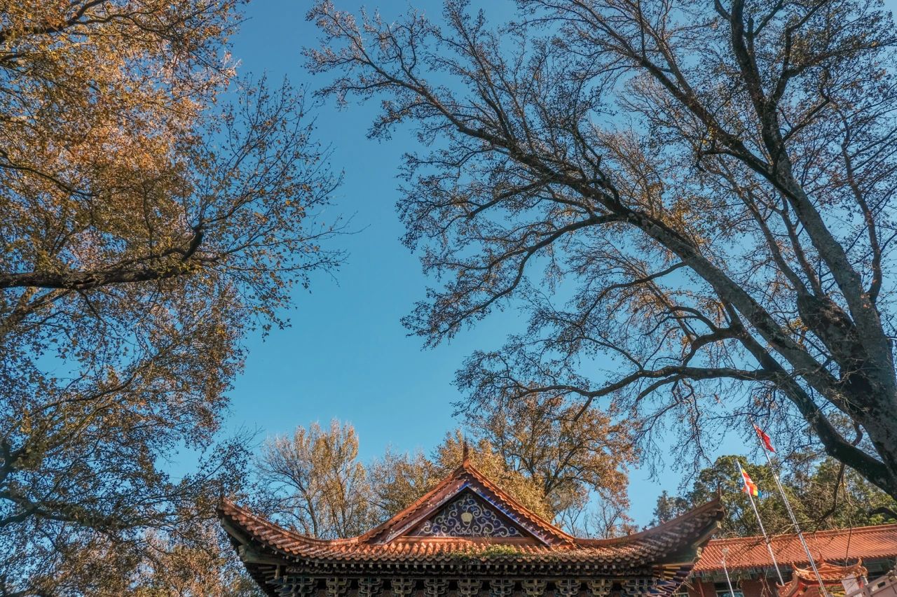 云石岩风景区旅行图片 3