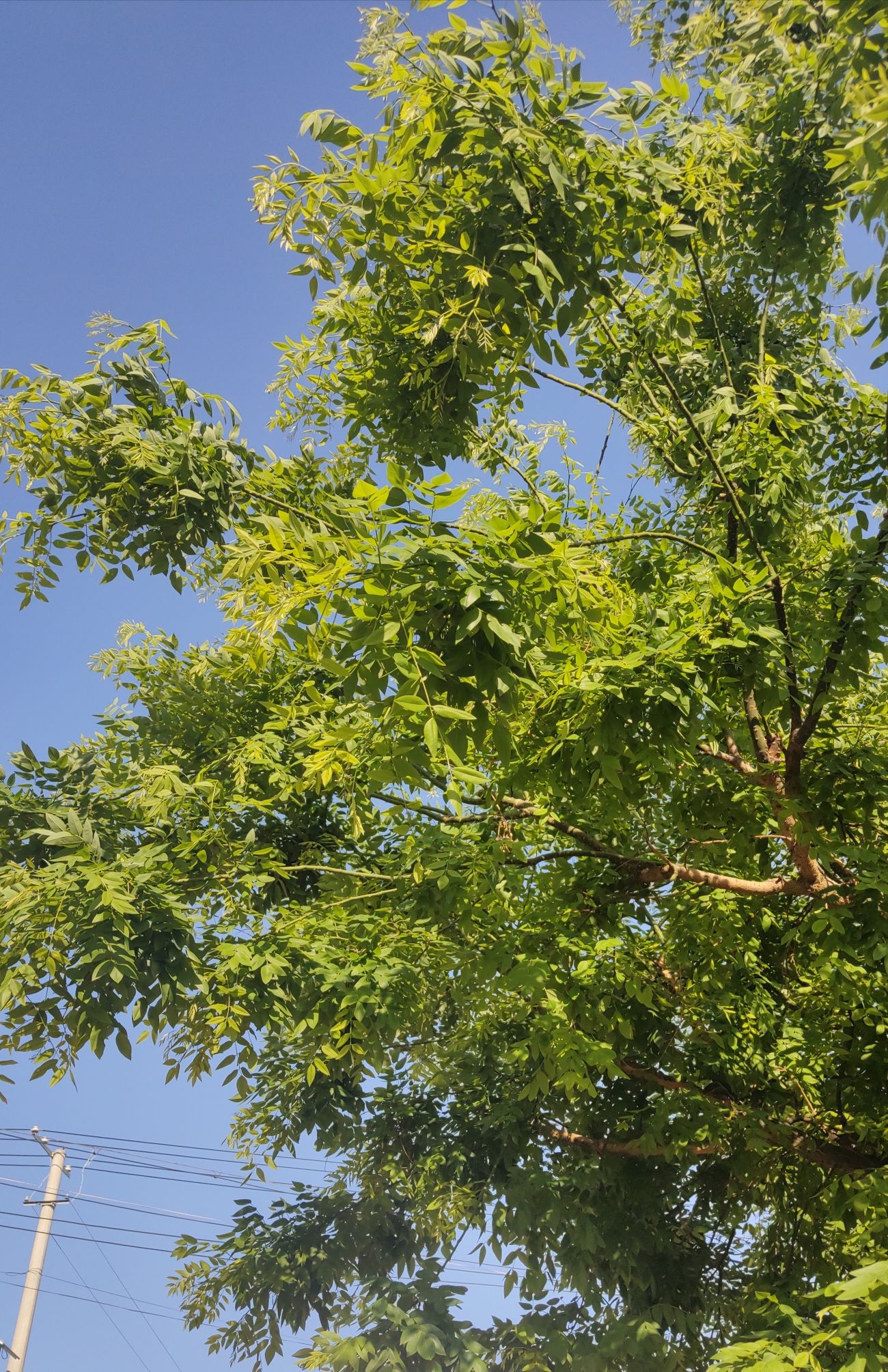 费县石海公园旅行图片 2
