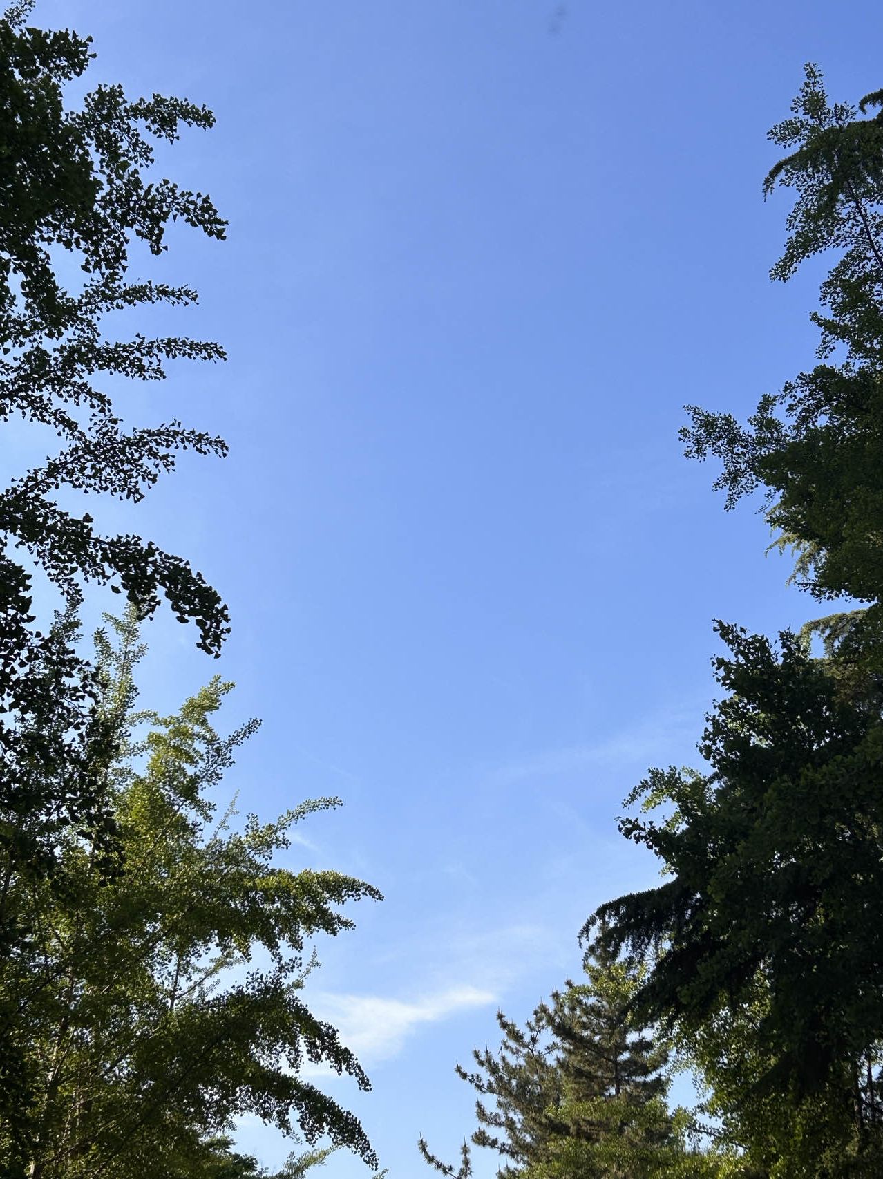 费县石海公园旅行图片