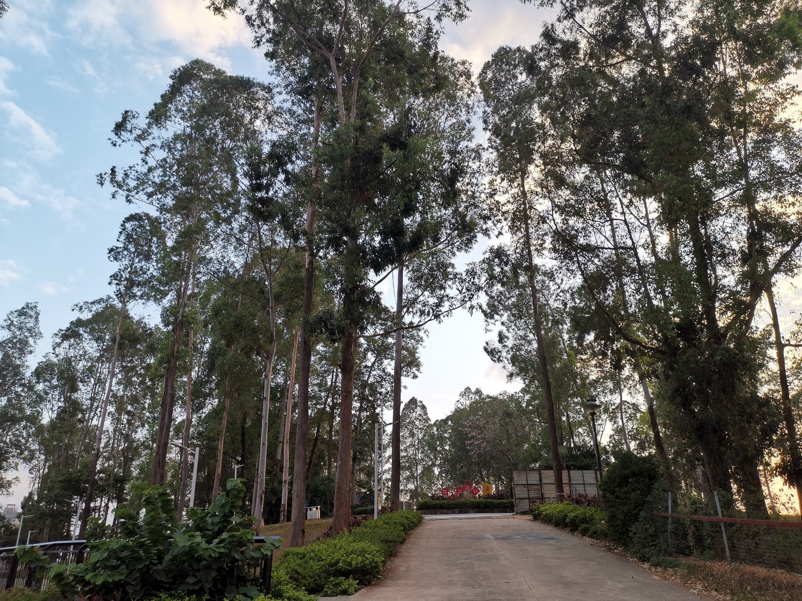 景岭公园旅行图片 2