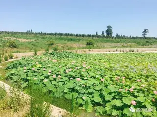 莲花山农庄小镇旅行图片 1
