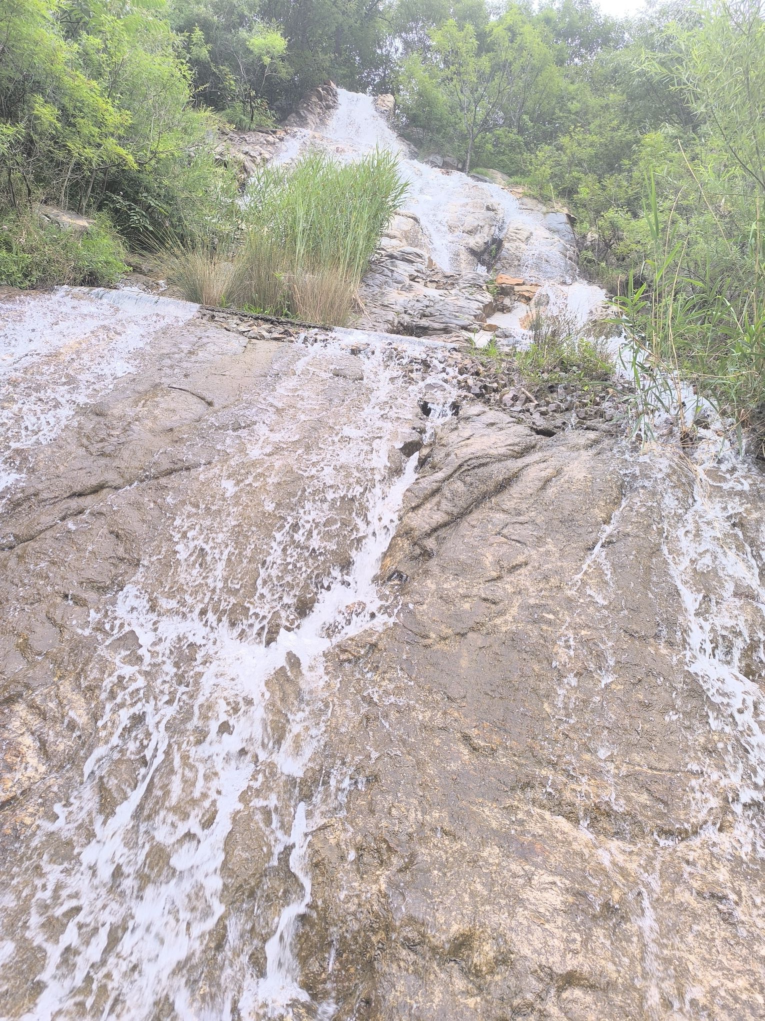 摘星楼风景区旅行图片 3