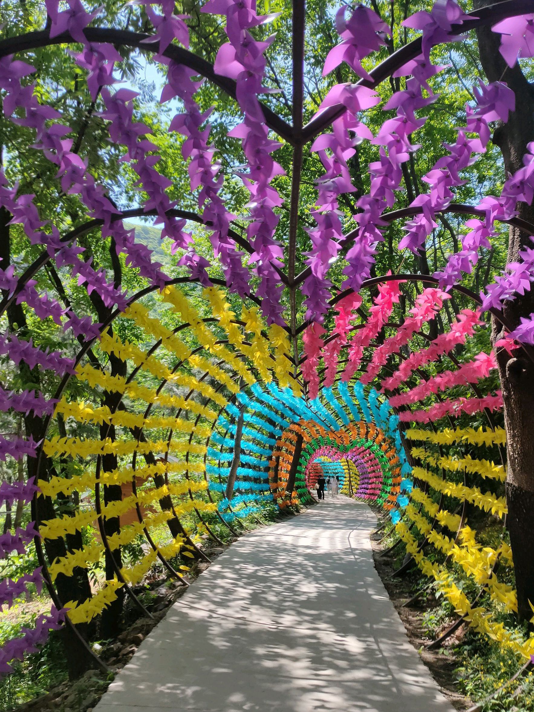摘星楼风景区旅行图片