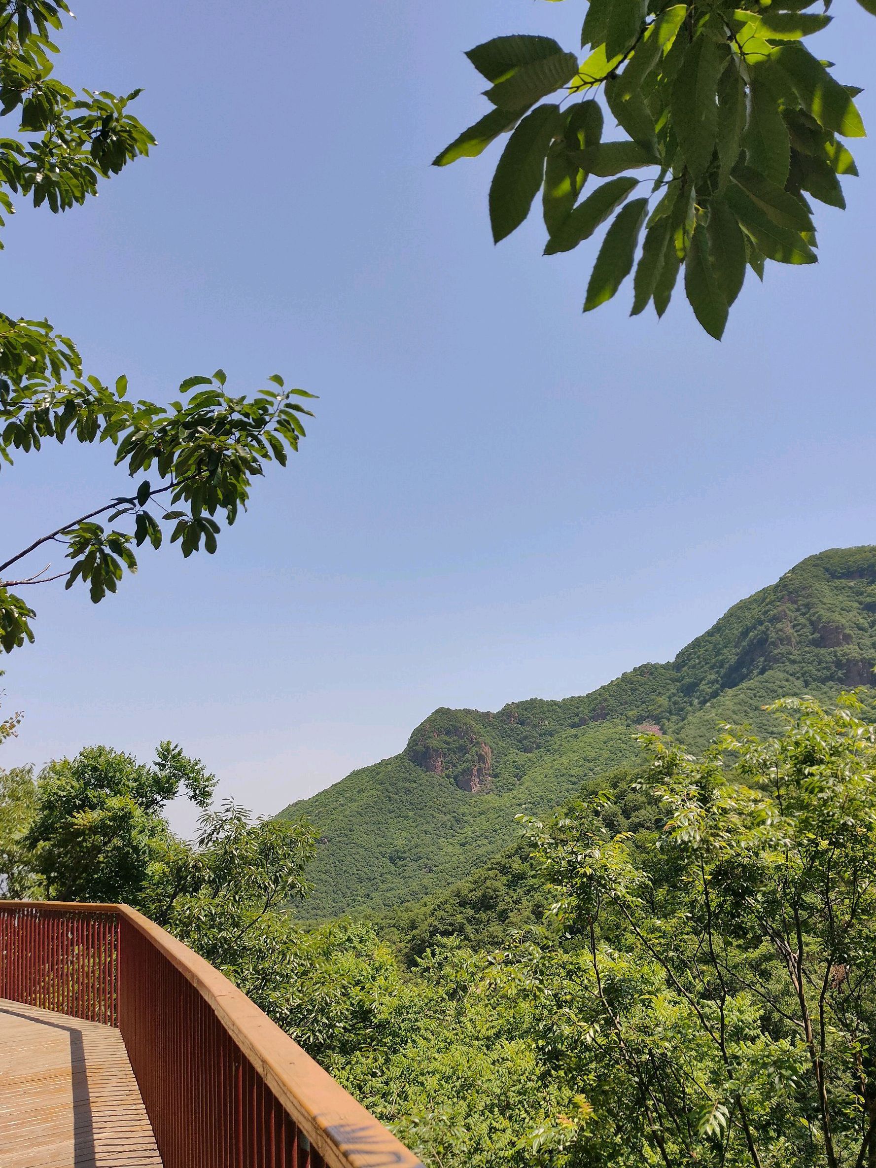 摘星楼风景区旅行图片 2