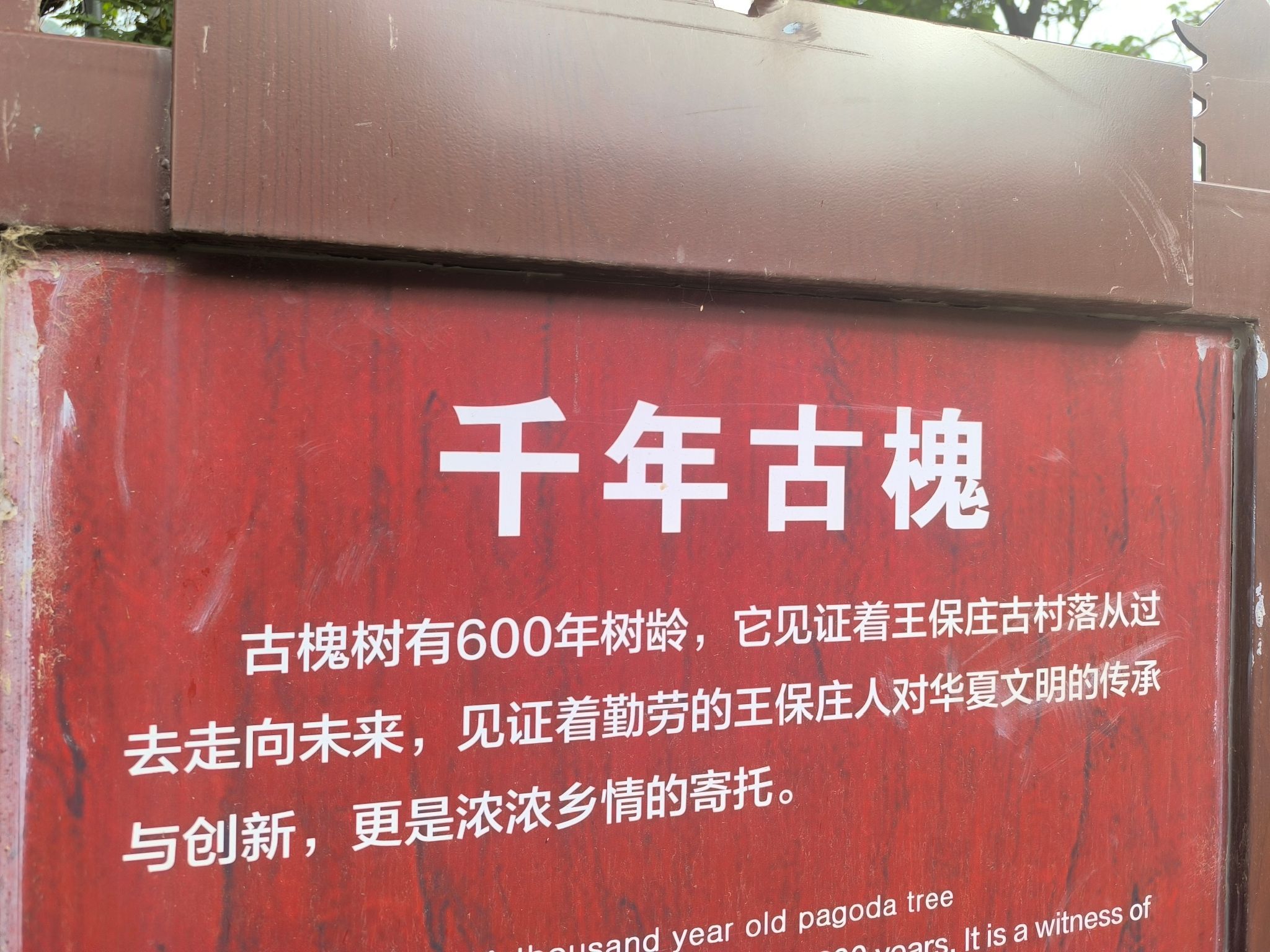 摘星楼风景区旅行图片