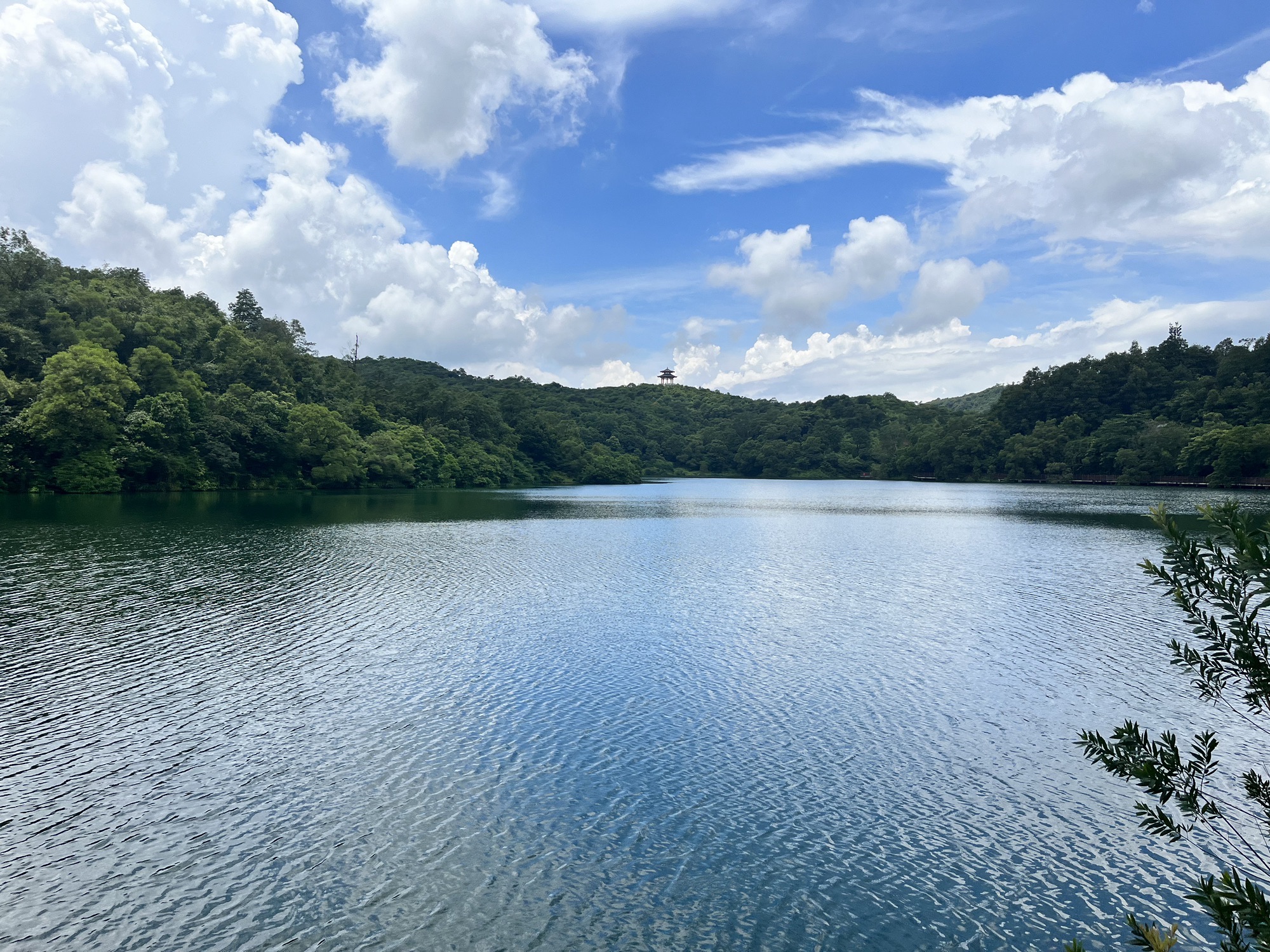 天鹅湖