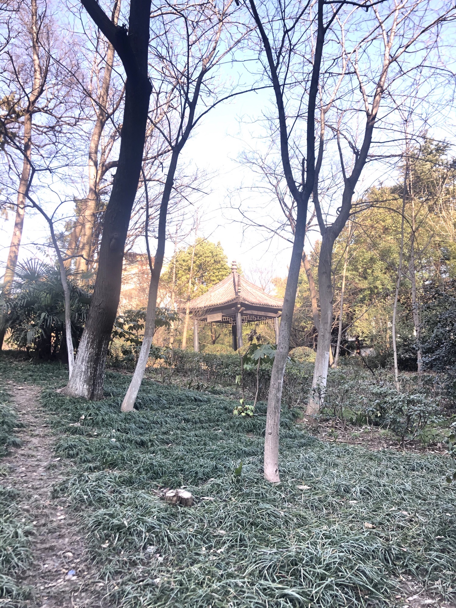 三里亭旅行图片 2