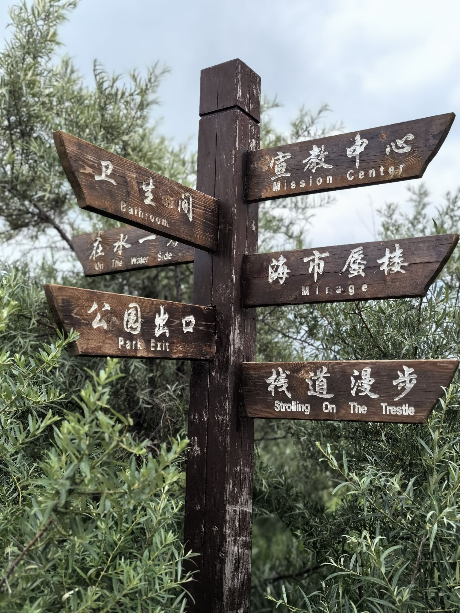 康巴诺尔国家湿地公园旅行图片 2