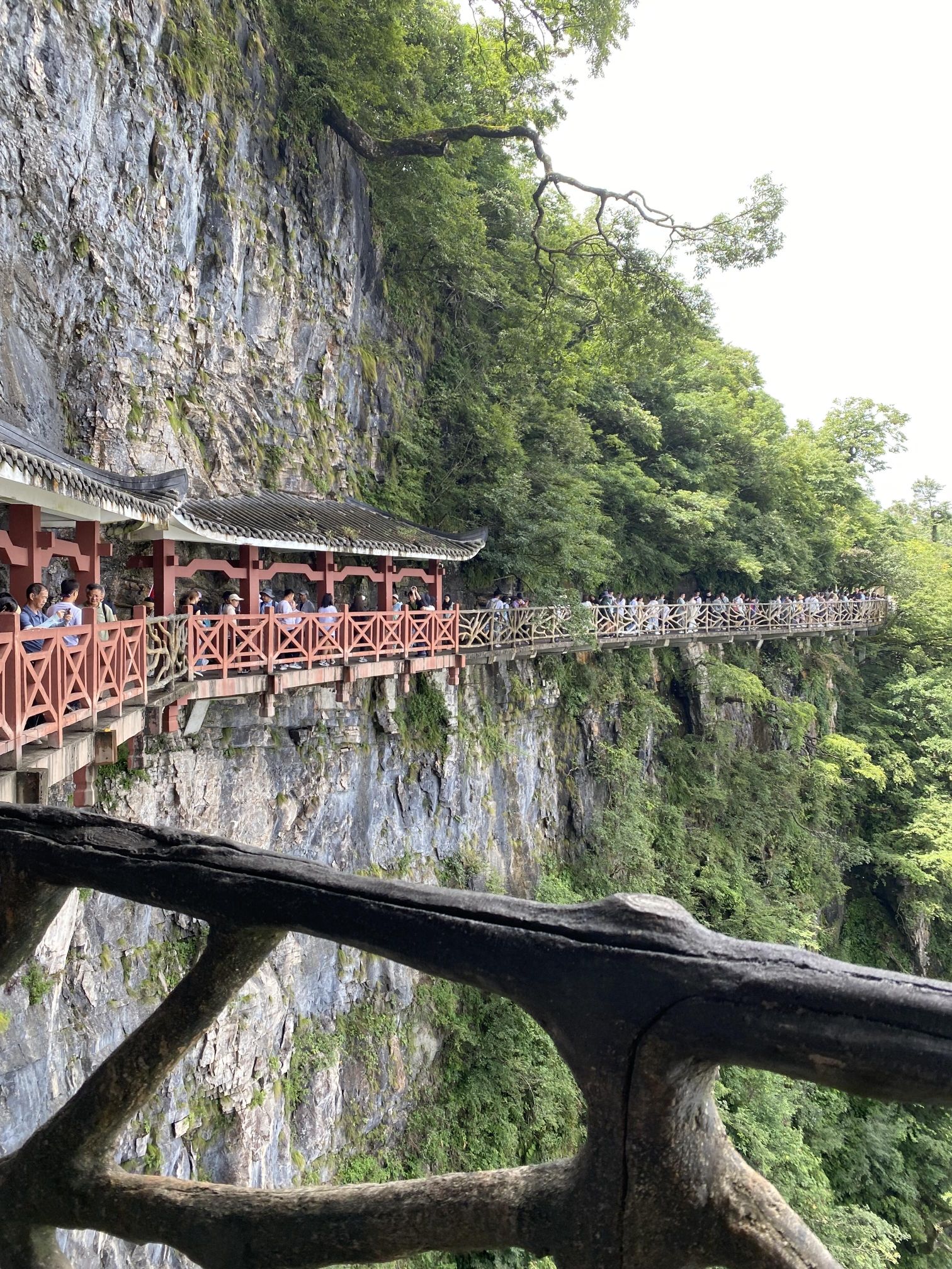 天门山景区旅行图片 3