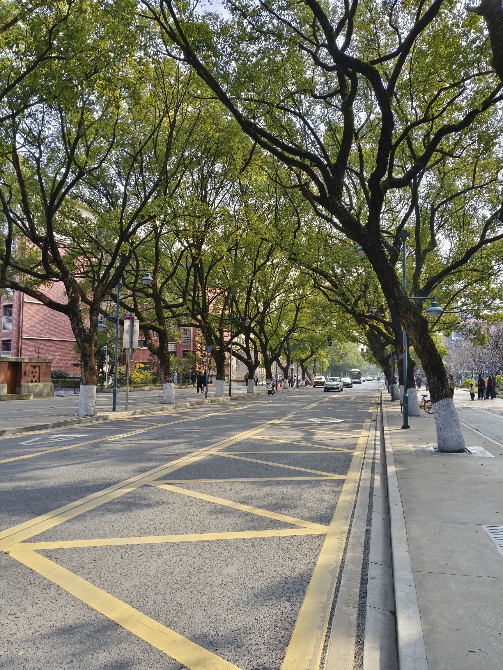 长沙河西大学城