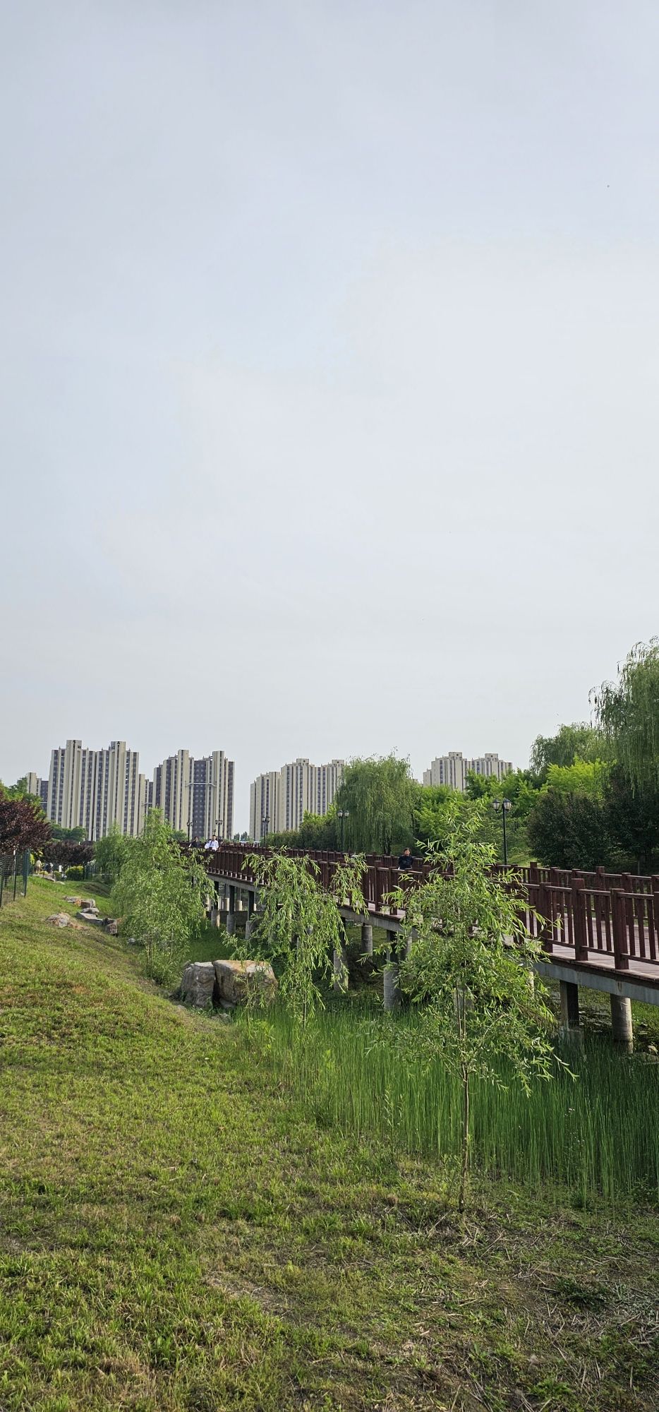 镜湖公园旅行图片 1