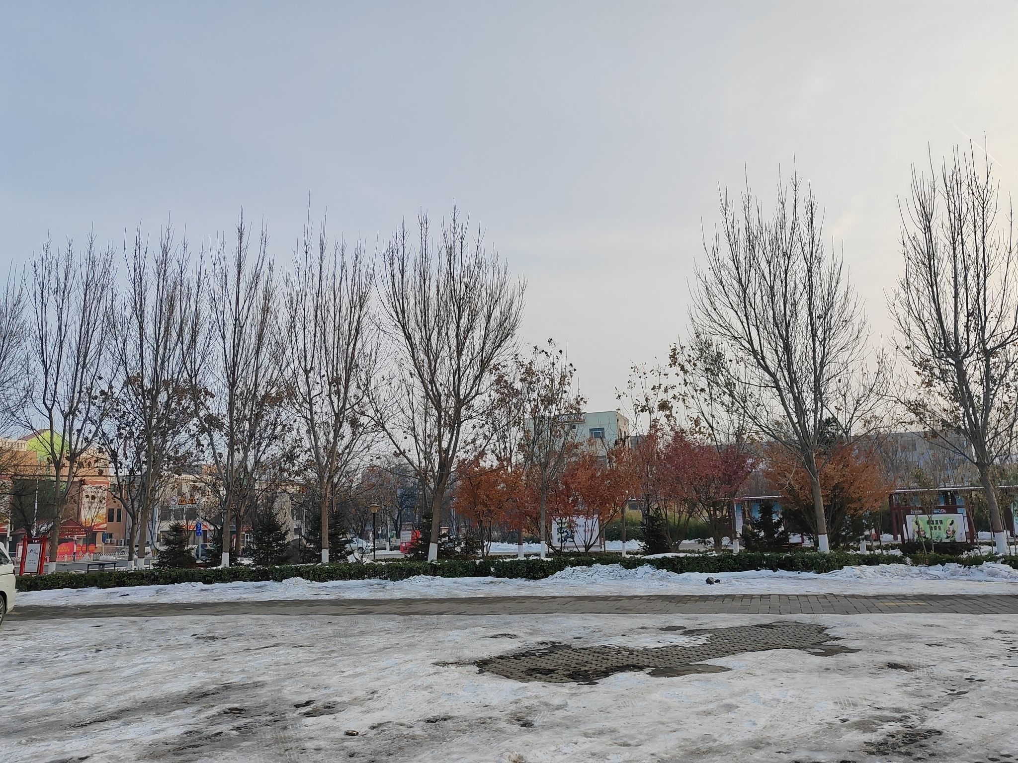 明德公园旅行图片 3