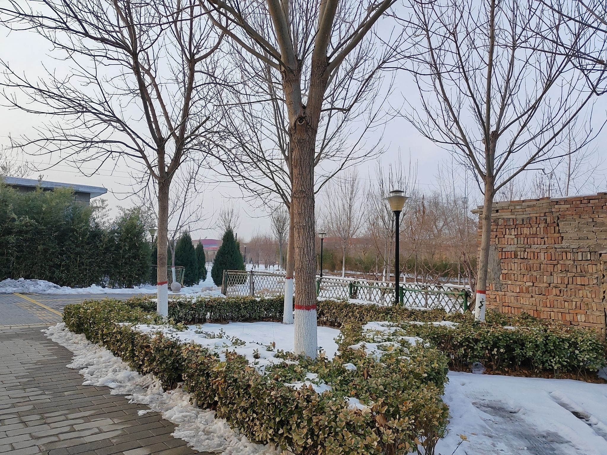 明德公园旅行图片 2