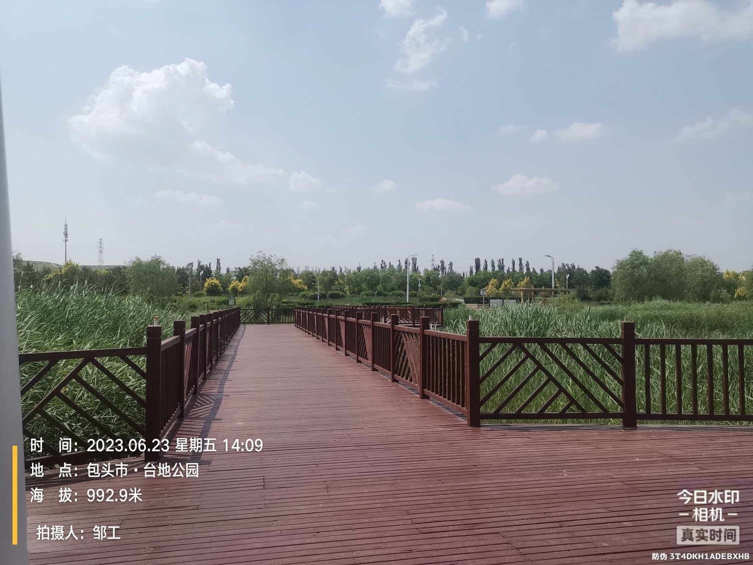 台地公园旅行图片 2